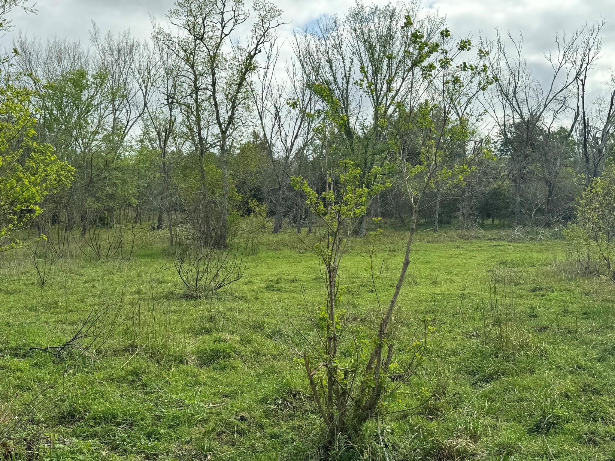 Tbd County Road 394 Property Photo 20