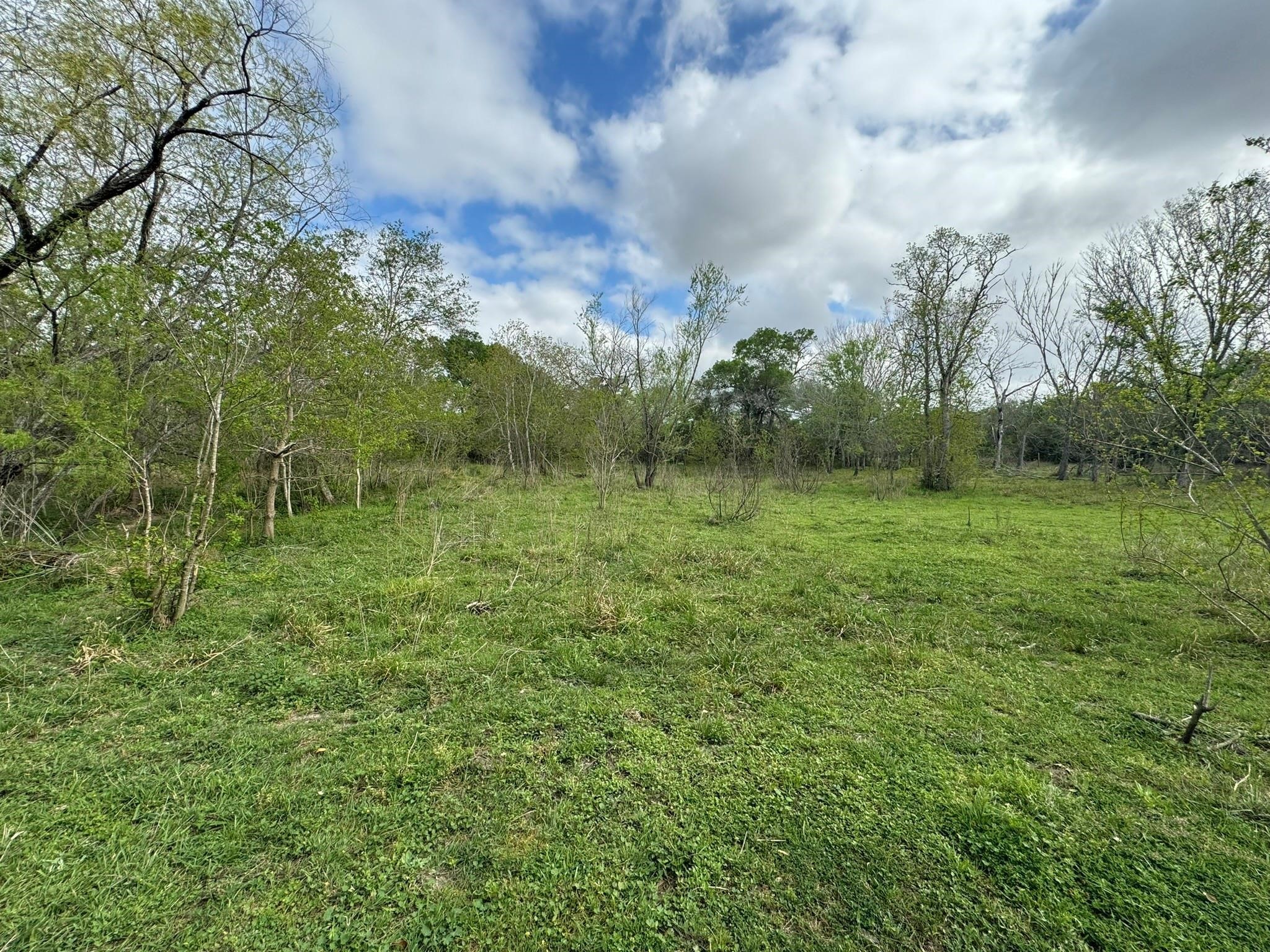 Tbd County Road 394 Property Photo 22