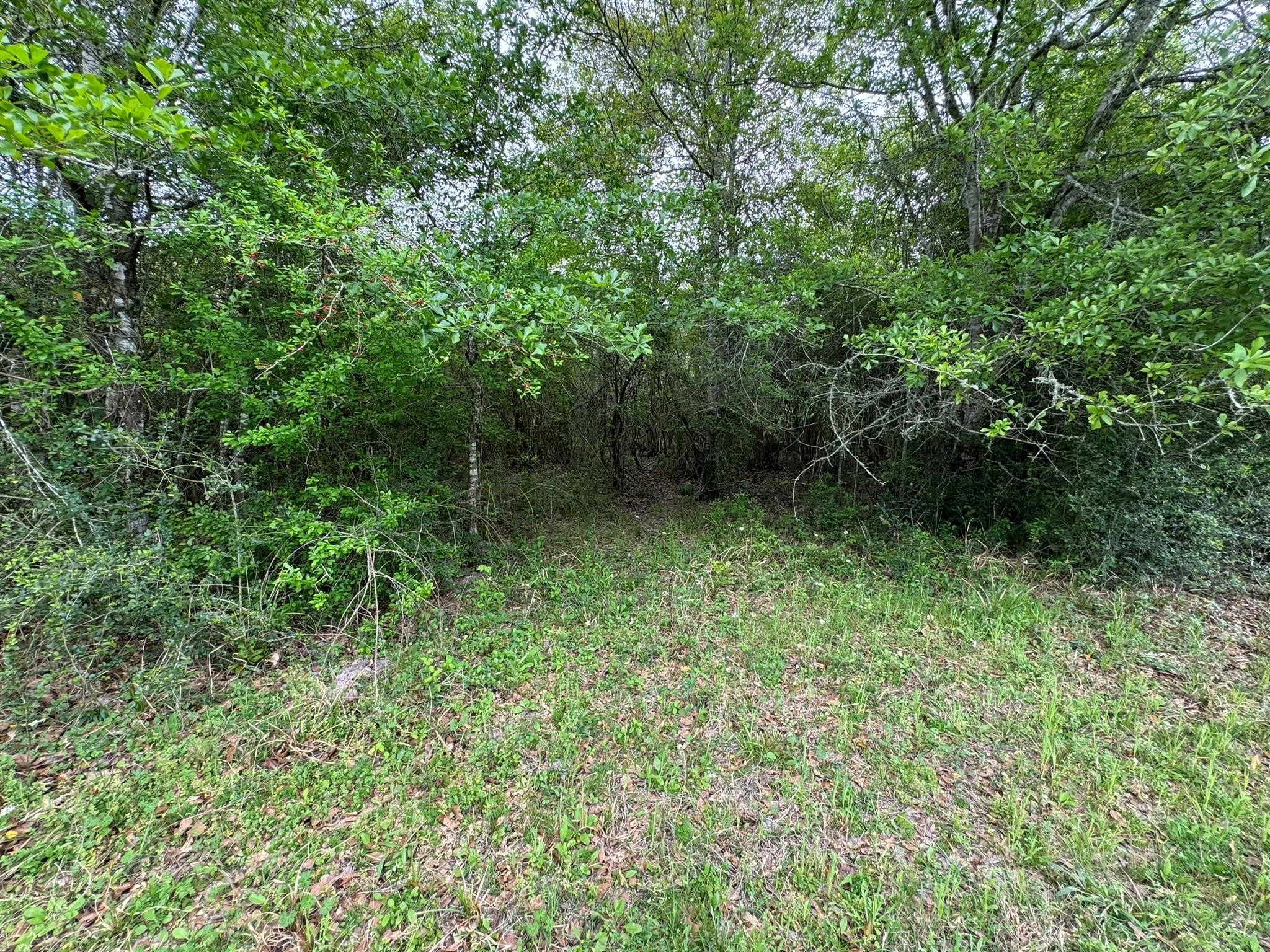 Tbd County Road 394 Property Photo 27
