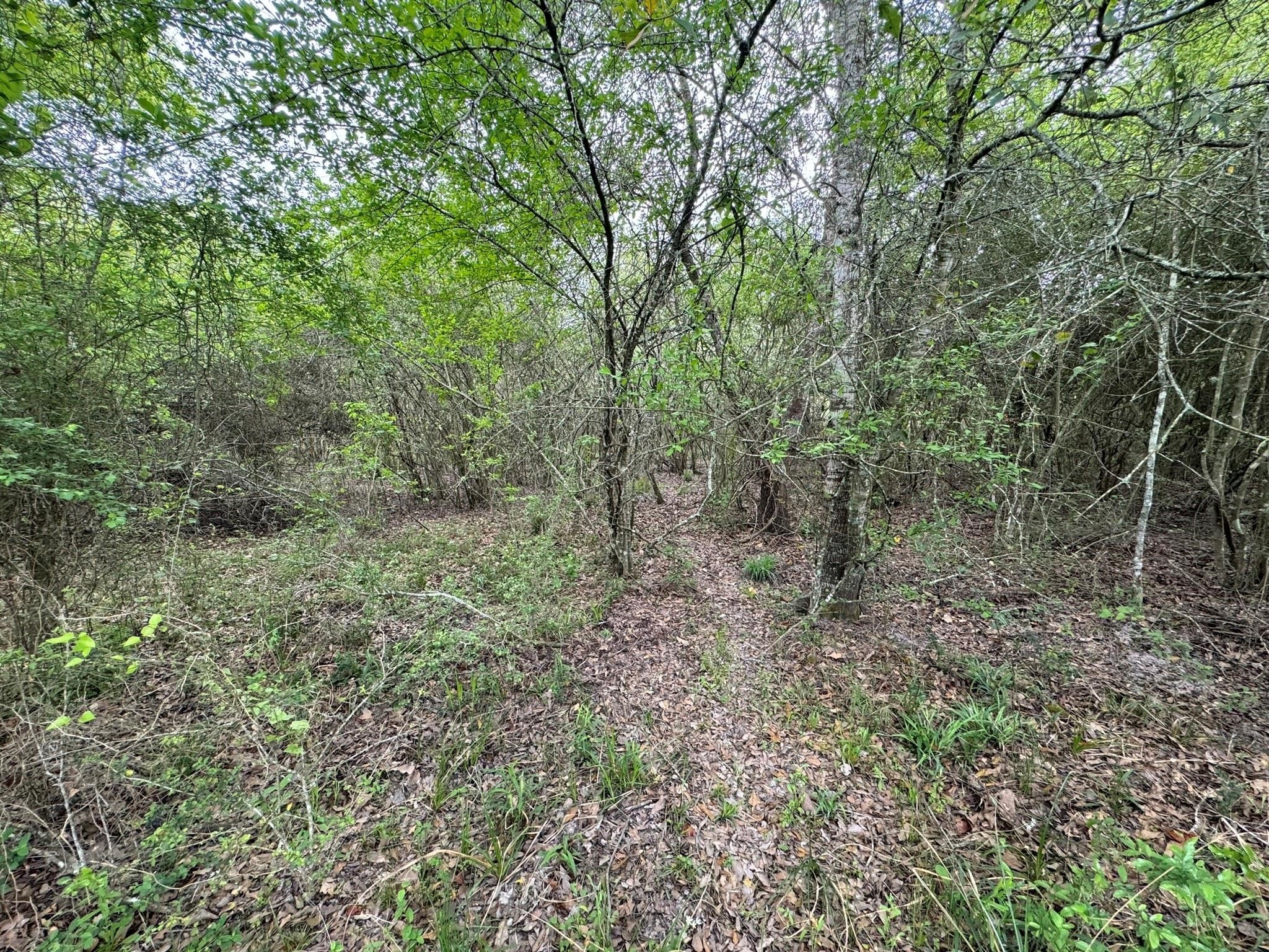 Tbd County Road 394 Property Photo 28