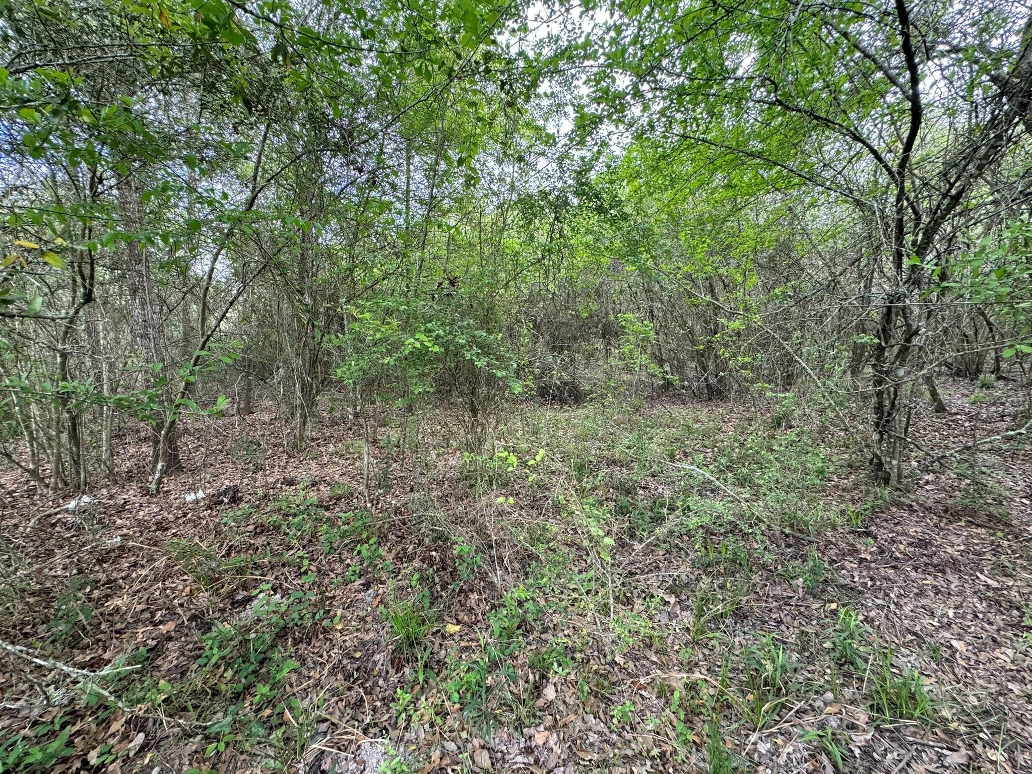 Tbd County Road 394 Property Photo 29