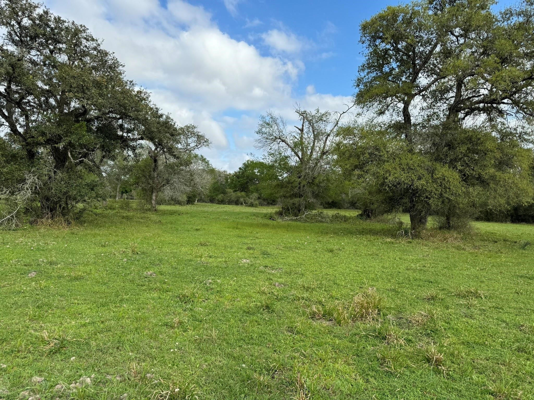 Tbd County Road 394 Property Photo 34