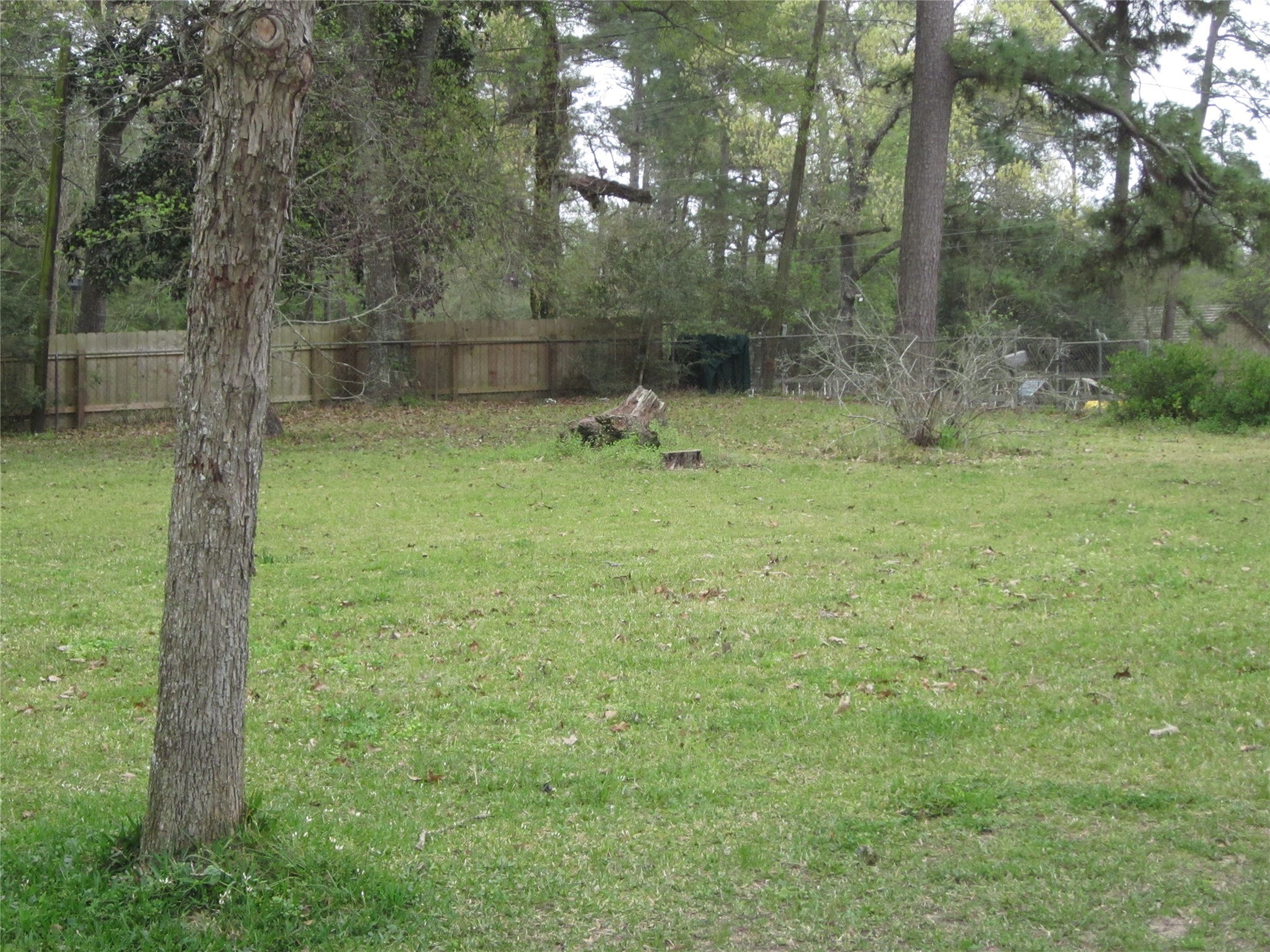 4018 E Mossy Oaks Road Property Photo 7