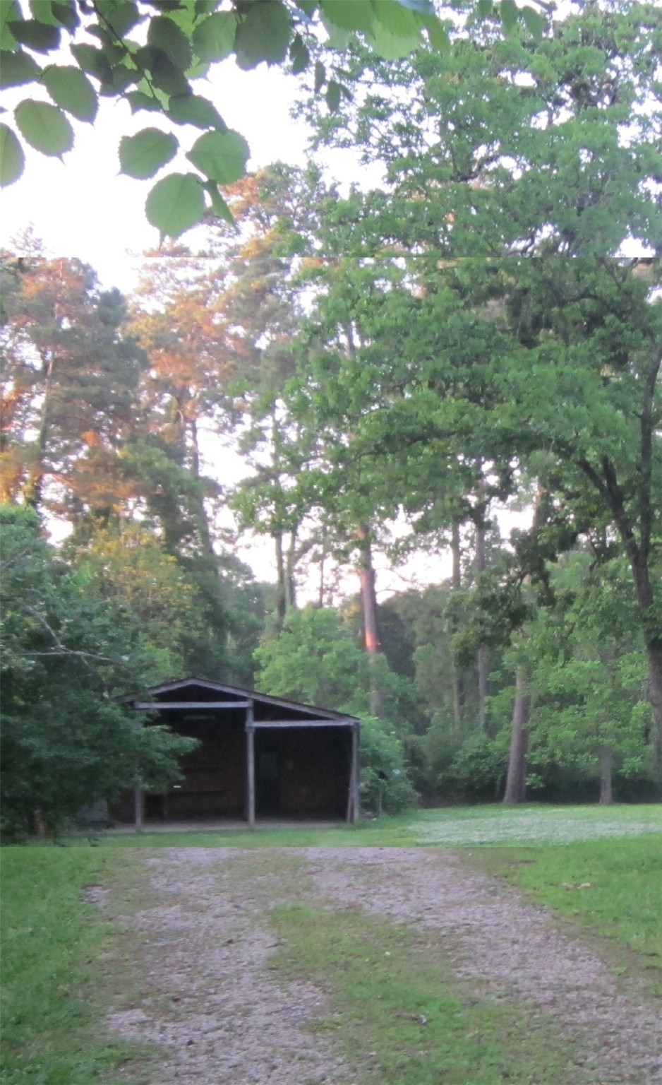 4018 E Mossy Oaks Road Property Photo 11