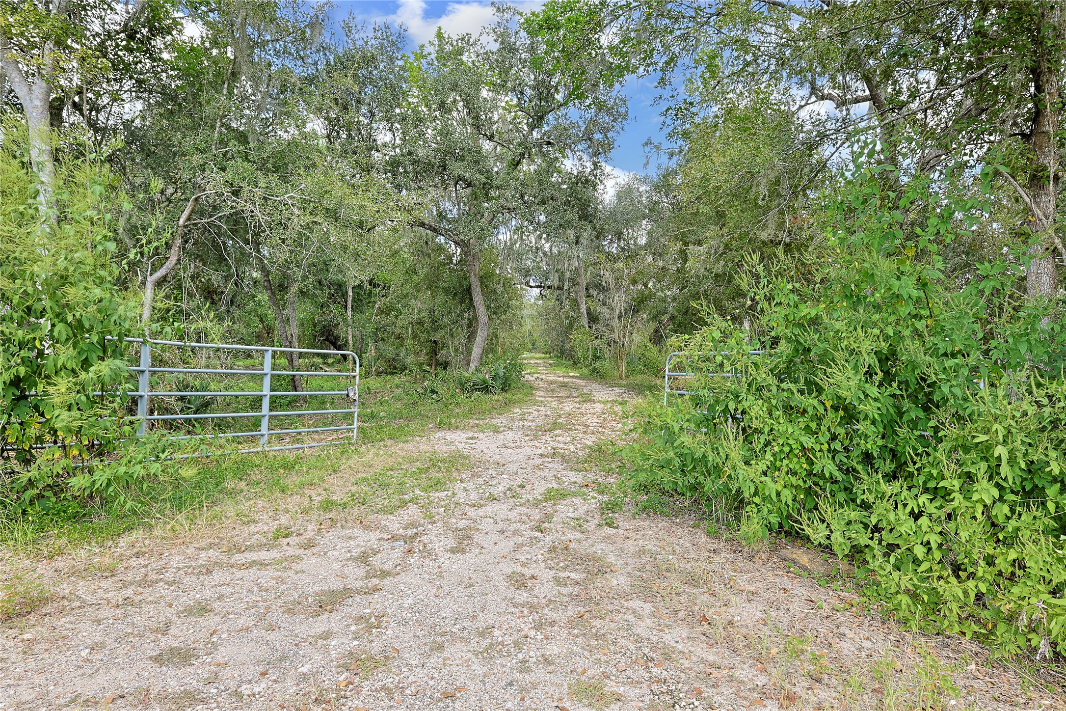 6306 County Road 244 Property Photo 1