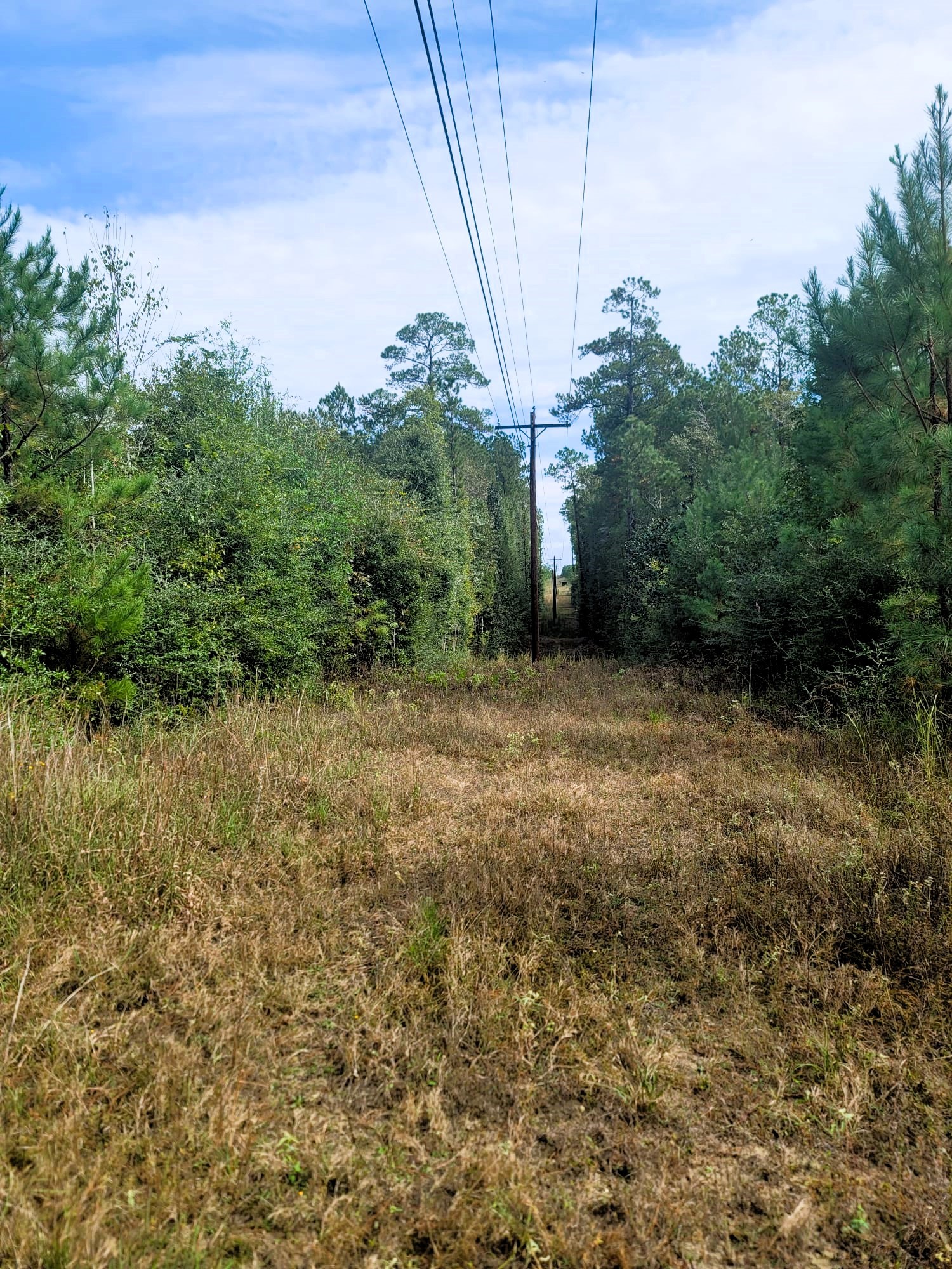 0000 Us Highway 190 E Property Photo 1