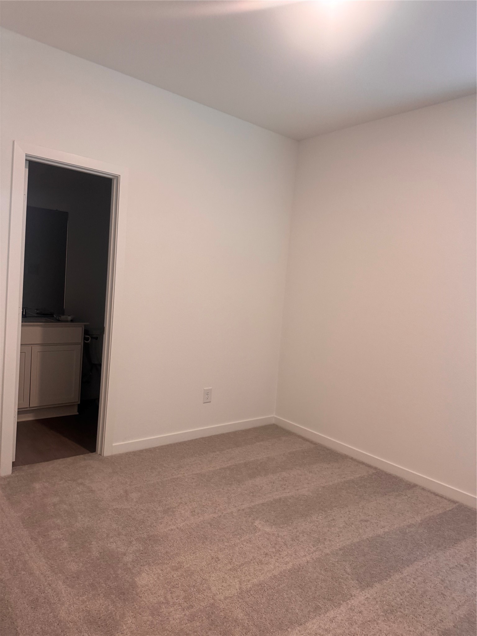21626 Carbonari Drive Property Photo 29