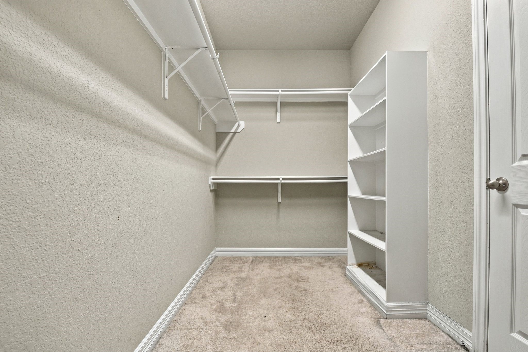 3311 Old Ironwood Drive Property Photo 10