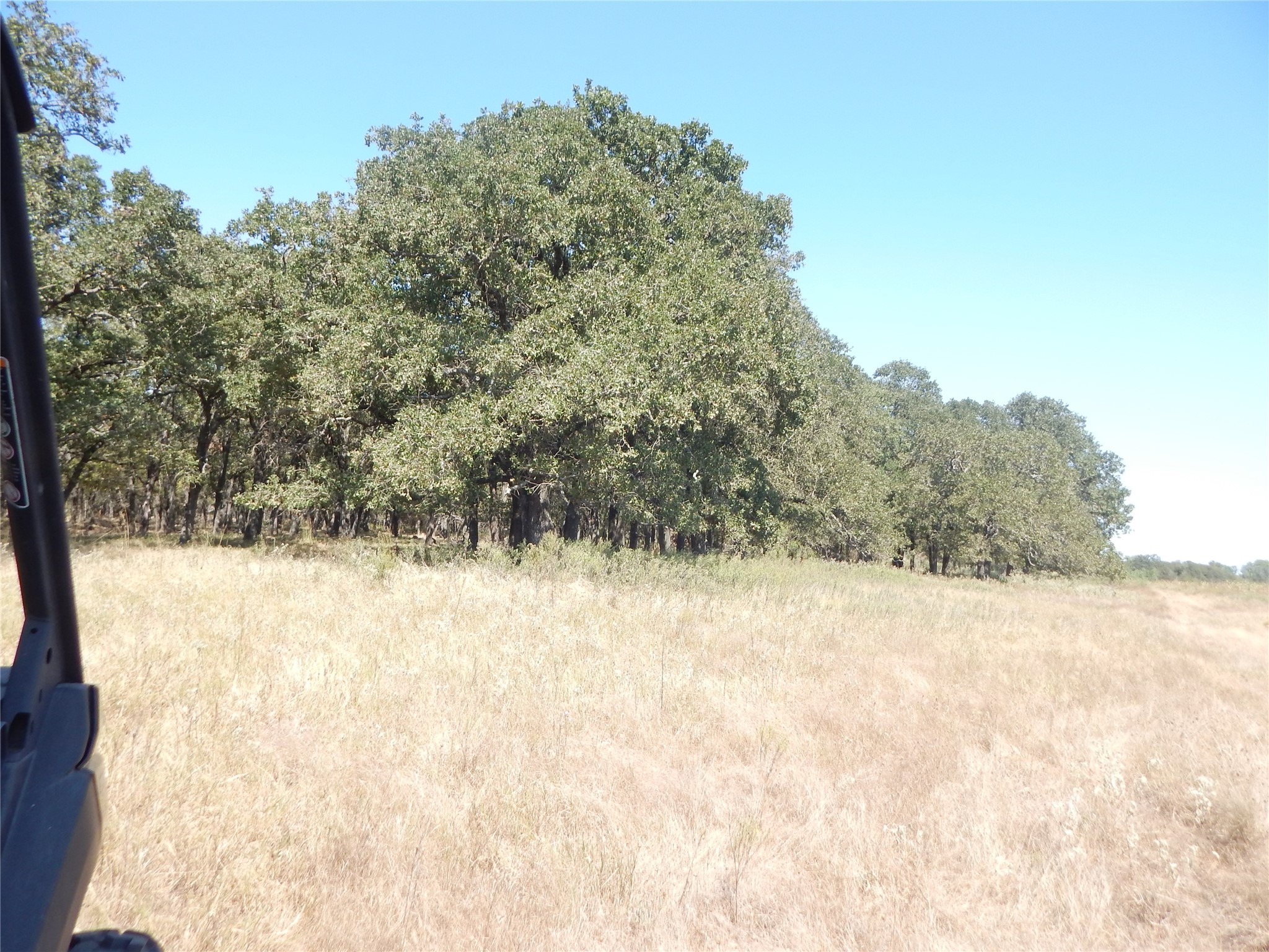 0 County Rd 246 Property Photo 1