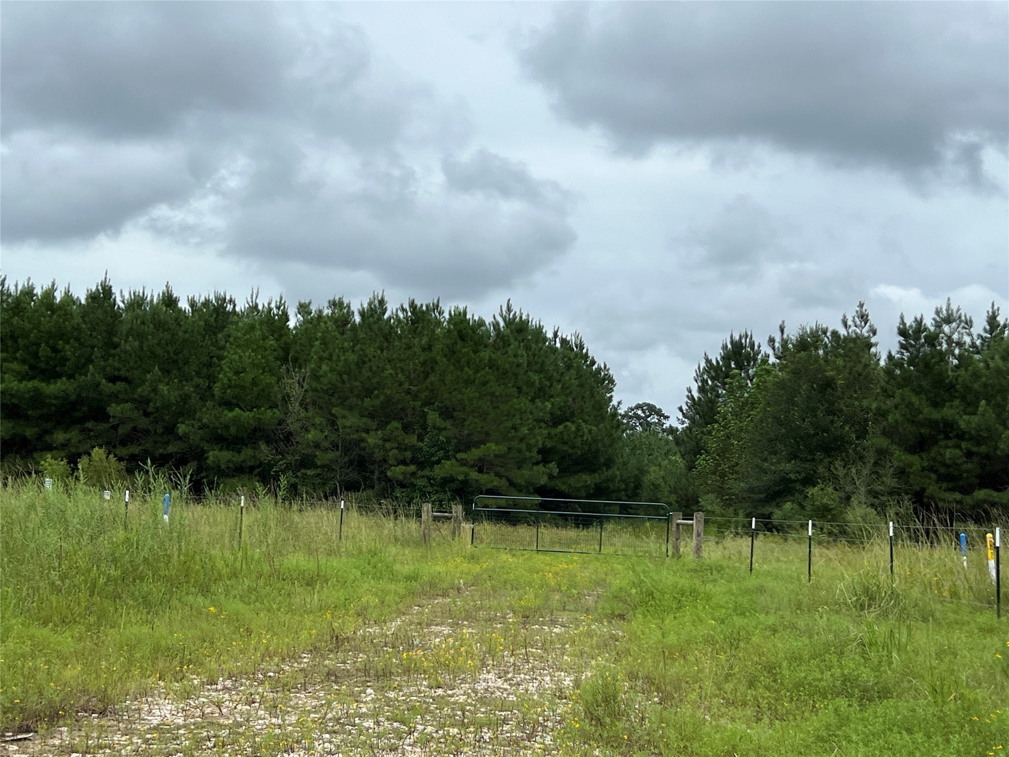 04 County Road 2204 Property Photo 3