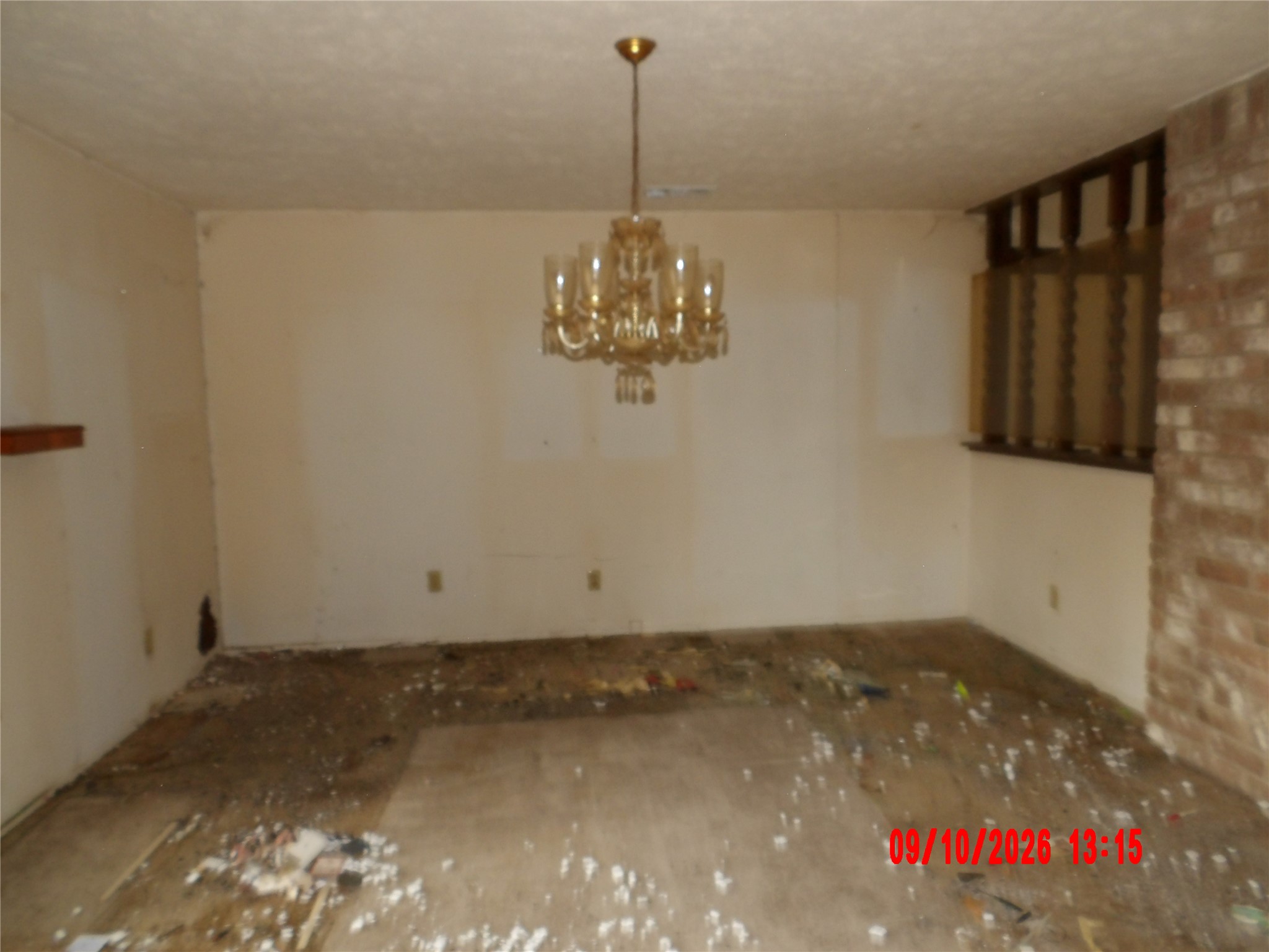 10034 Sageglow Drive Property Photo 6