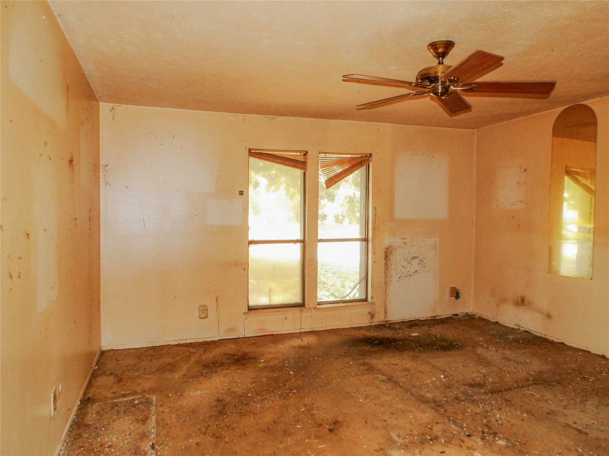 10034 Sageglow Drive Property Photo 6
