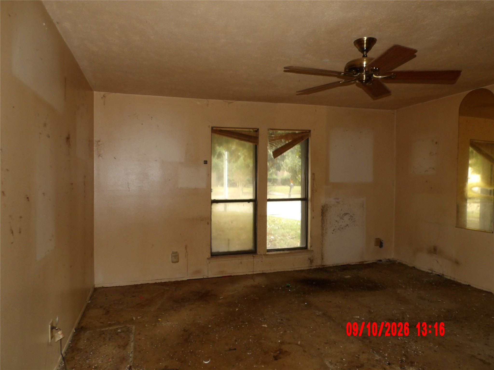 10034 Sageglow Drive Property Photo 9