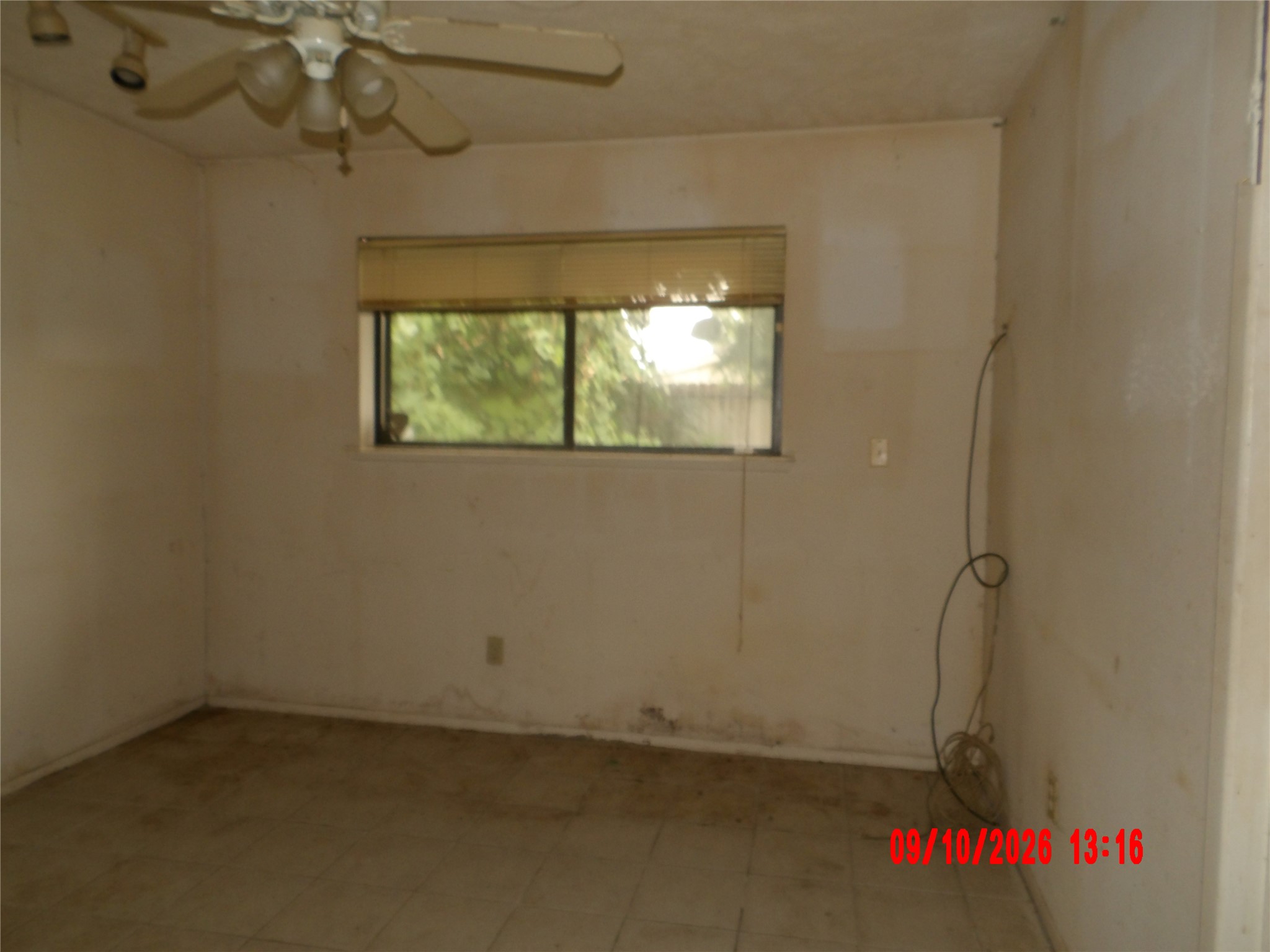 10034 Sageglow Drive Property Photo 14