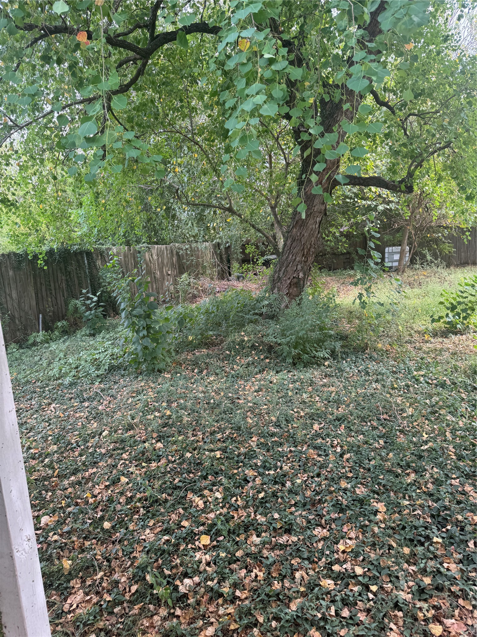 7307 Hurtgen Forest Road Property Photo 5