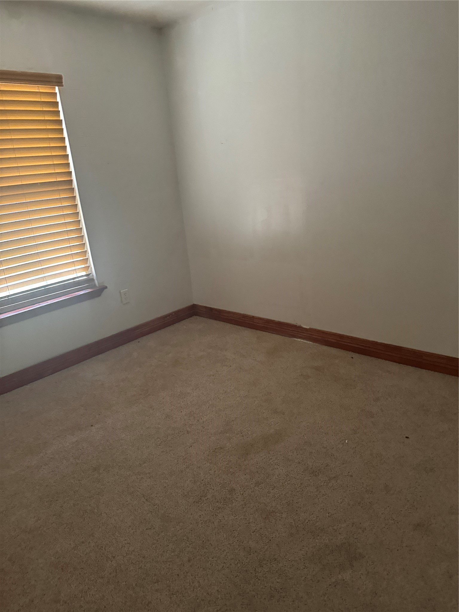 7307 Hurtgen Forest Road Property Photo 9