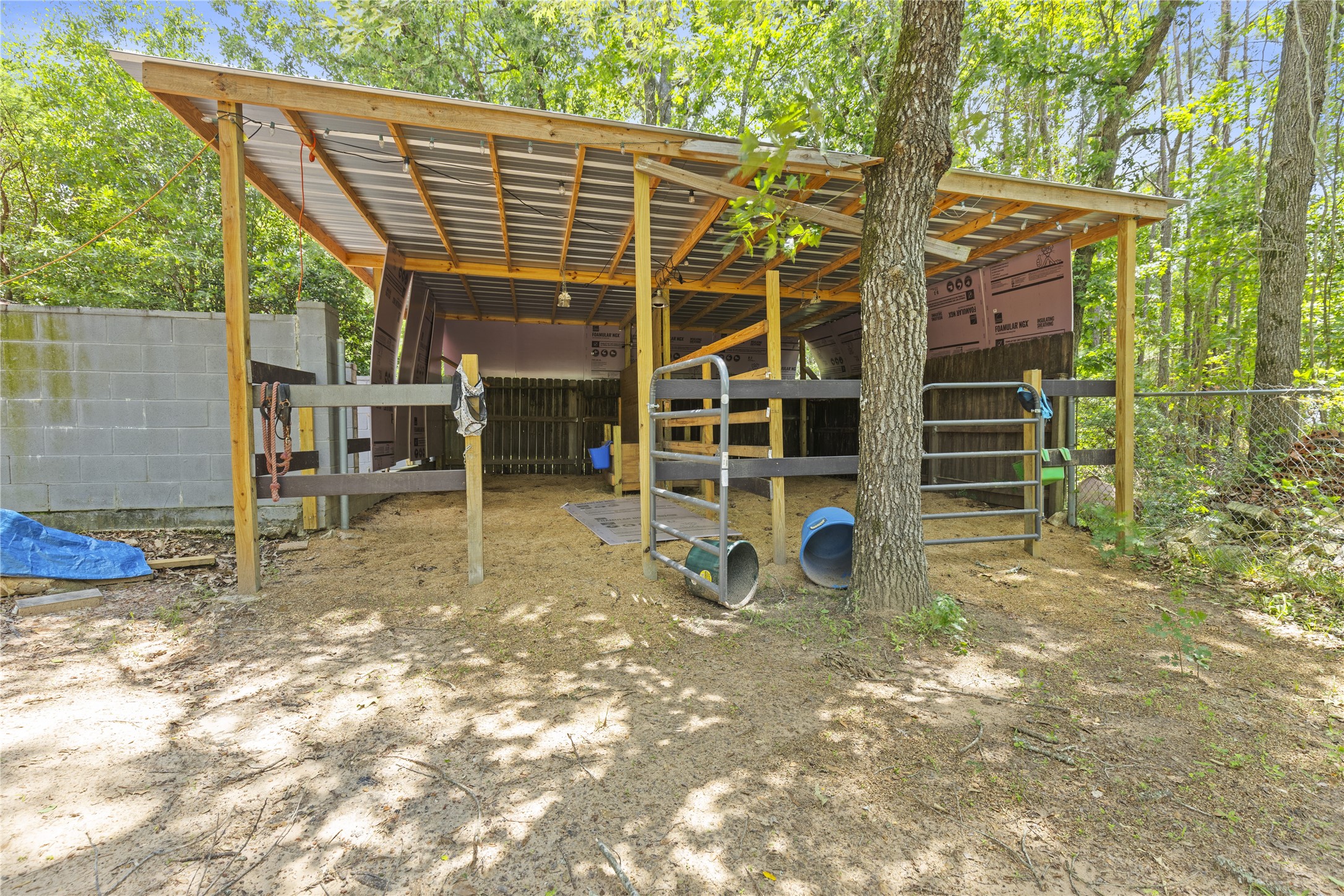 203 Mapleleaf Street Property Photo 43