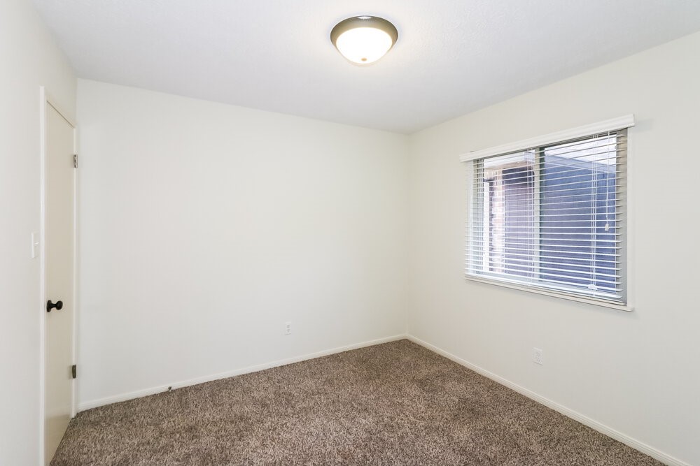 10810 Gusty Winds Court Property Photo 14