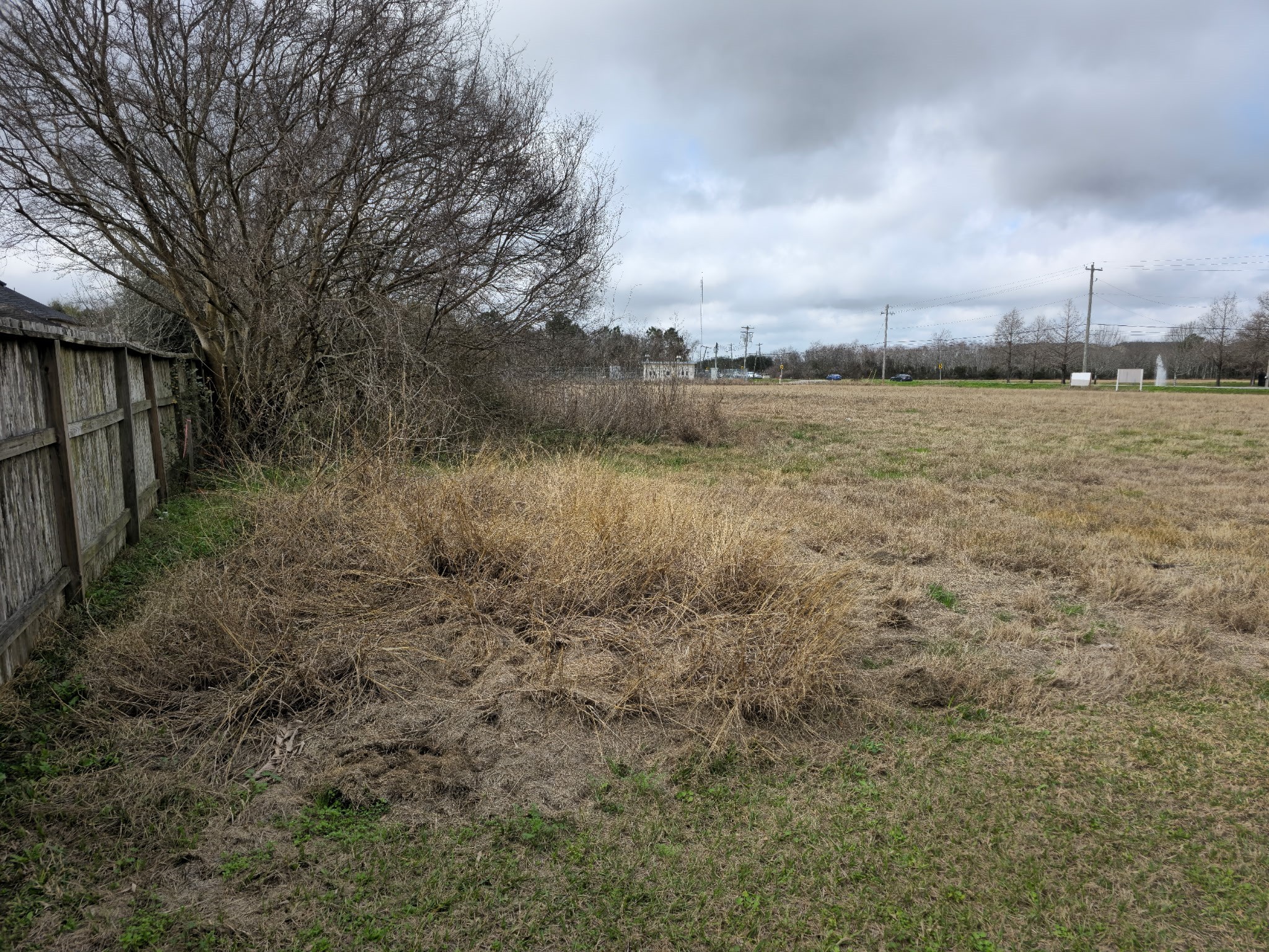 0000 Fm 517 Property Photo 21