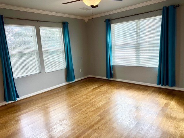 2116 Live Oak Street B Property Photo 10