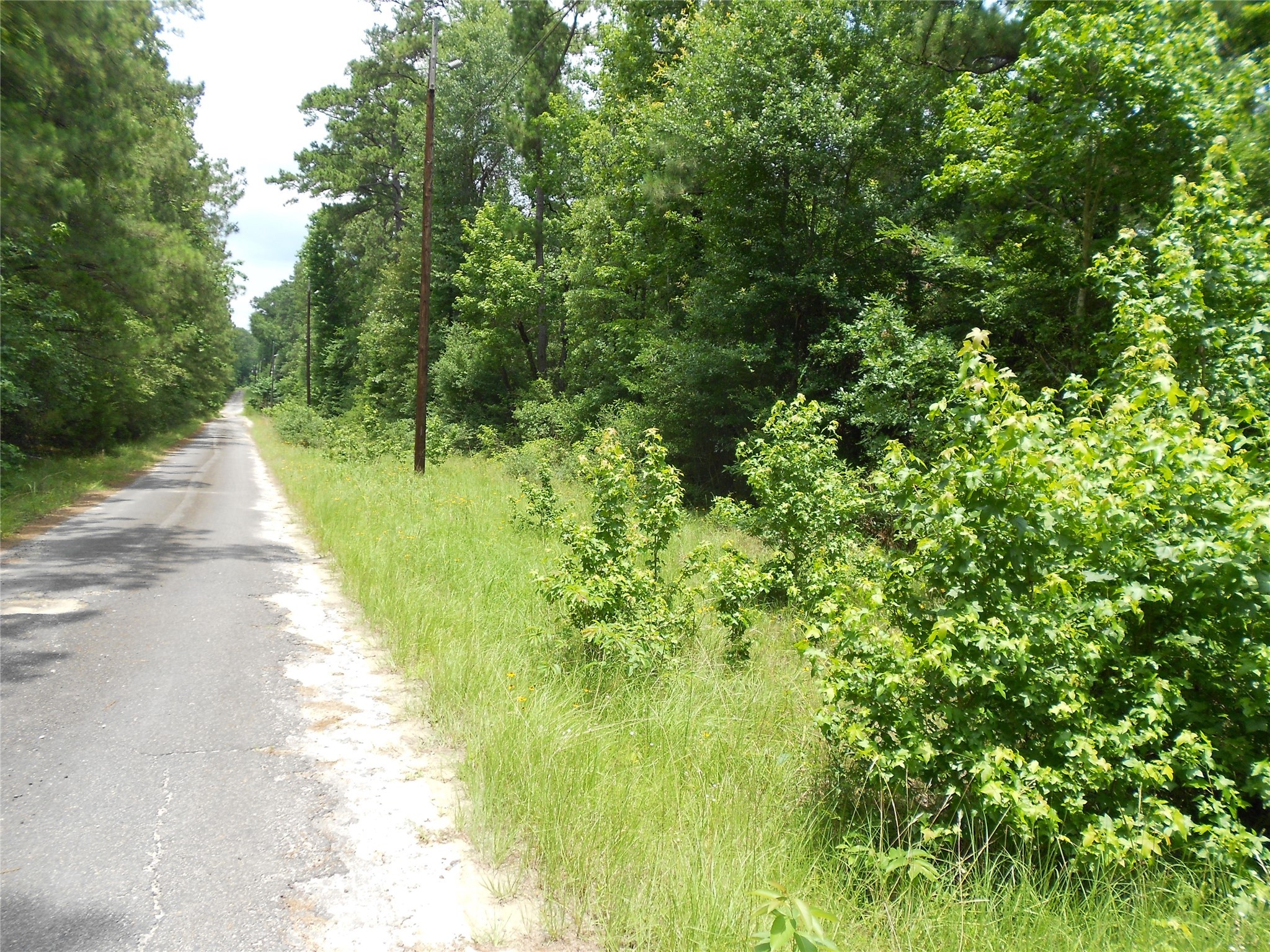 Na River Drive Property Photo 3