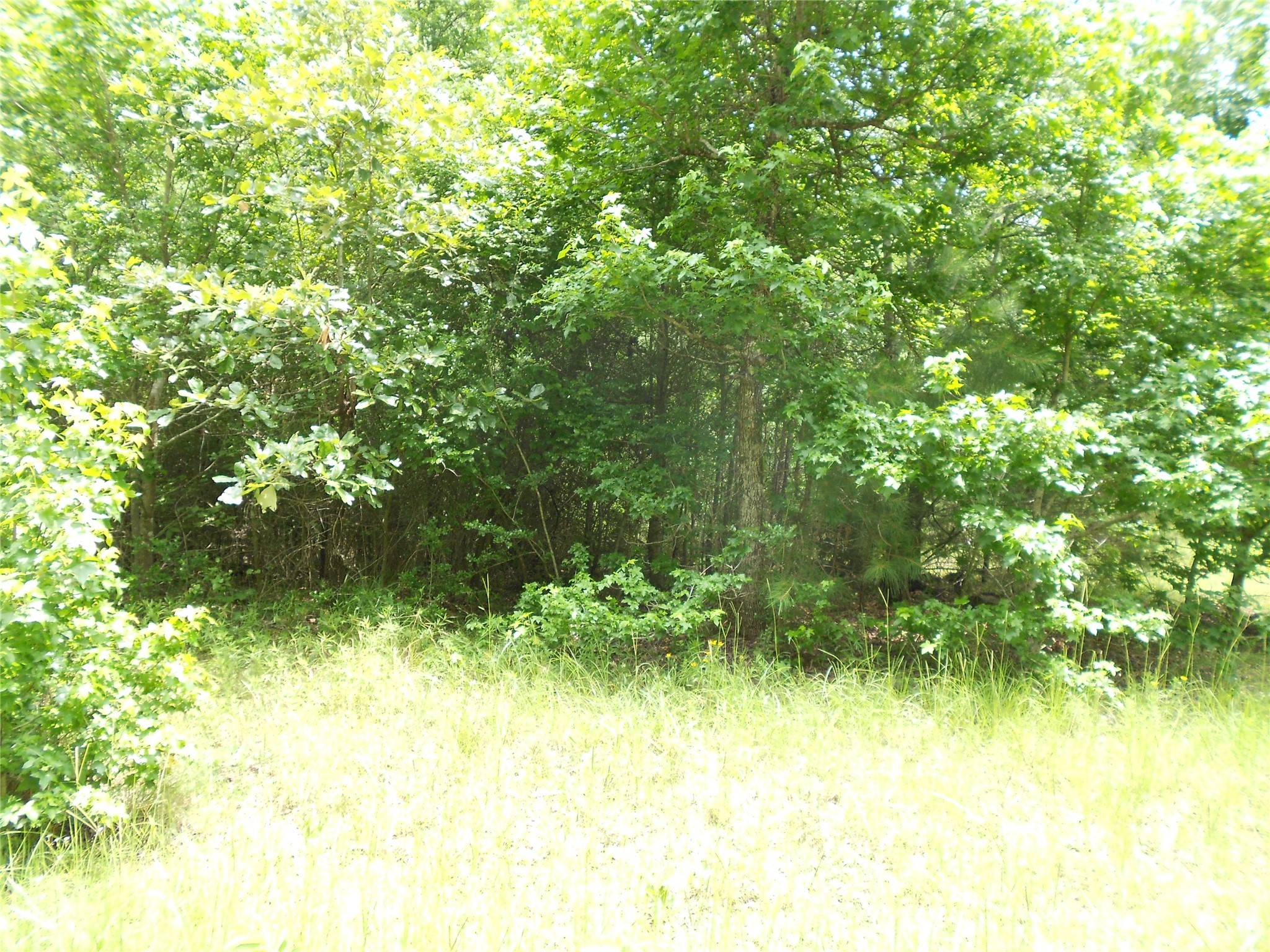 Na River Drive Property Photo 4