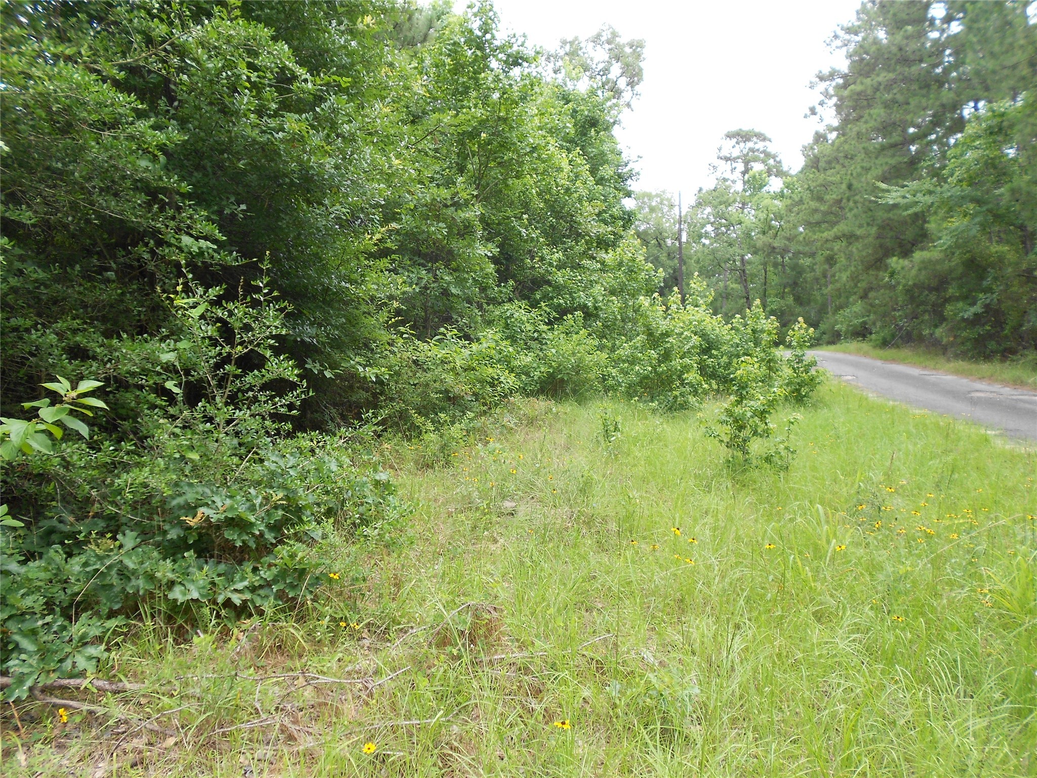 Na River Drive Property Photo 5