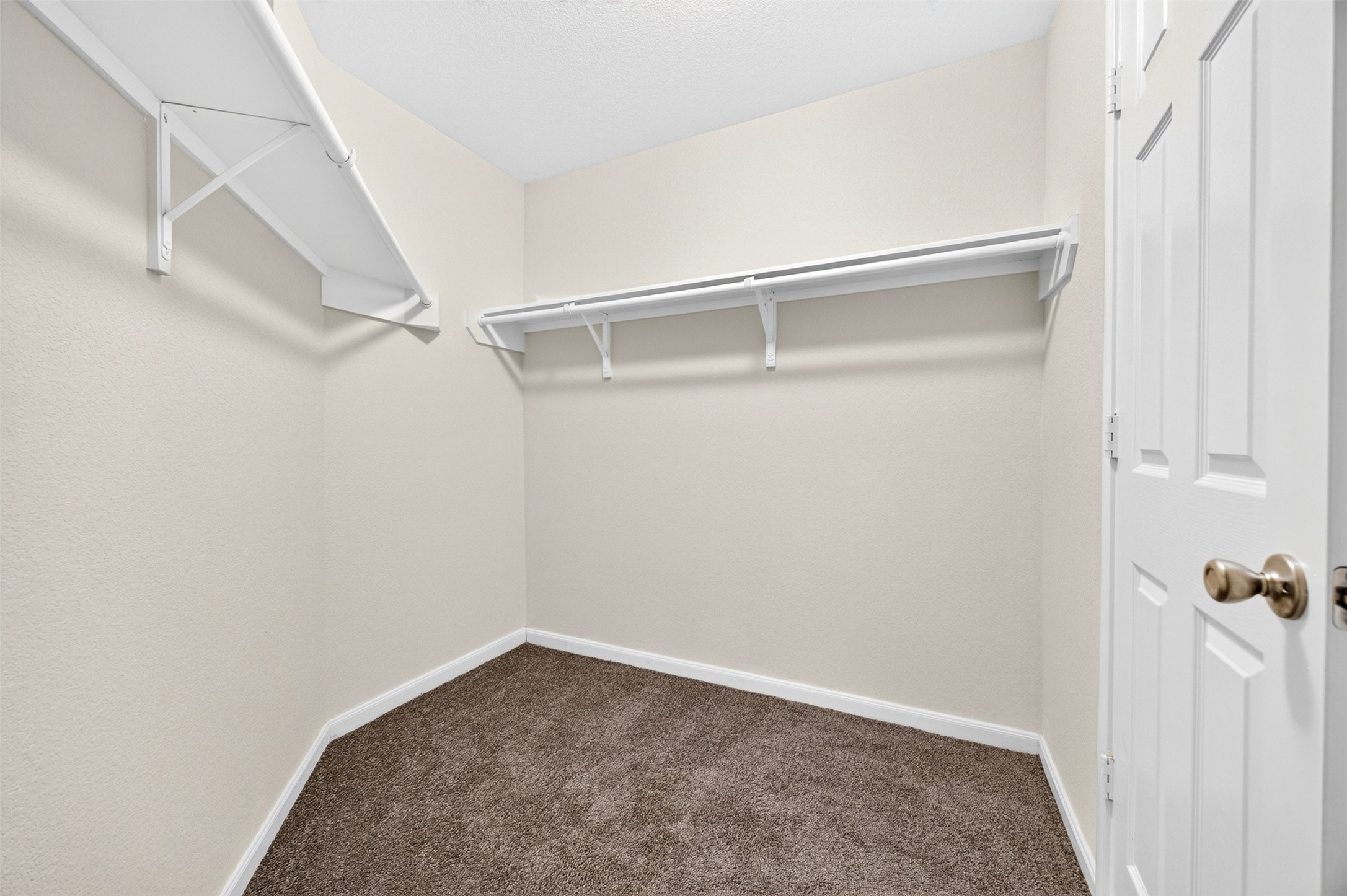 5202 Pine Forest Ridge Street Property Photo 28