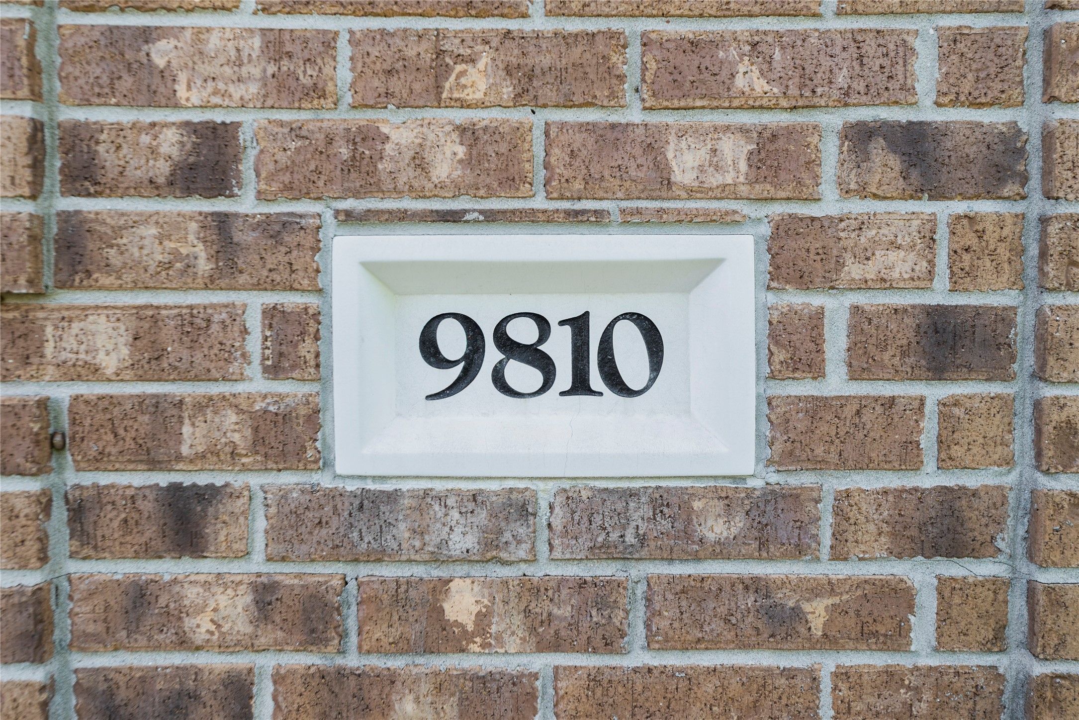 9810 Garnet Falls Drive Property Photo 5