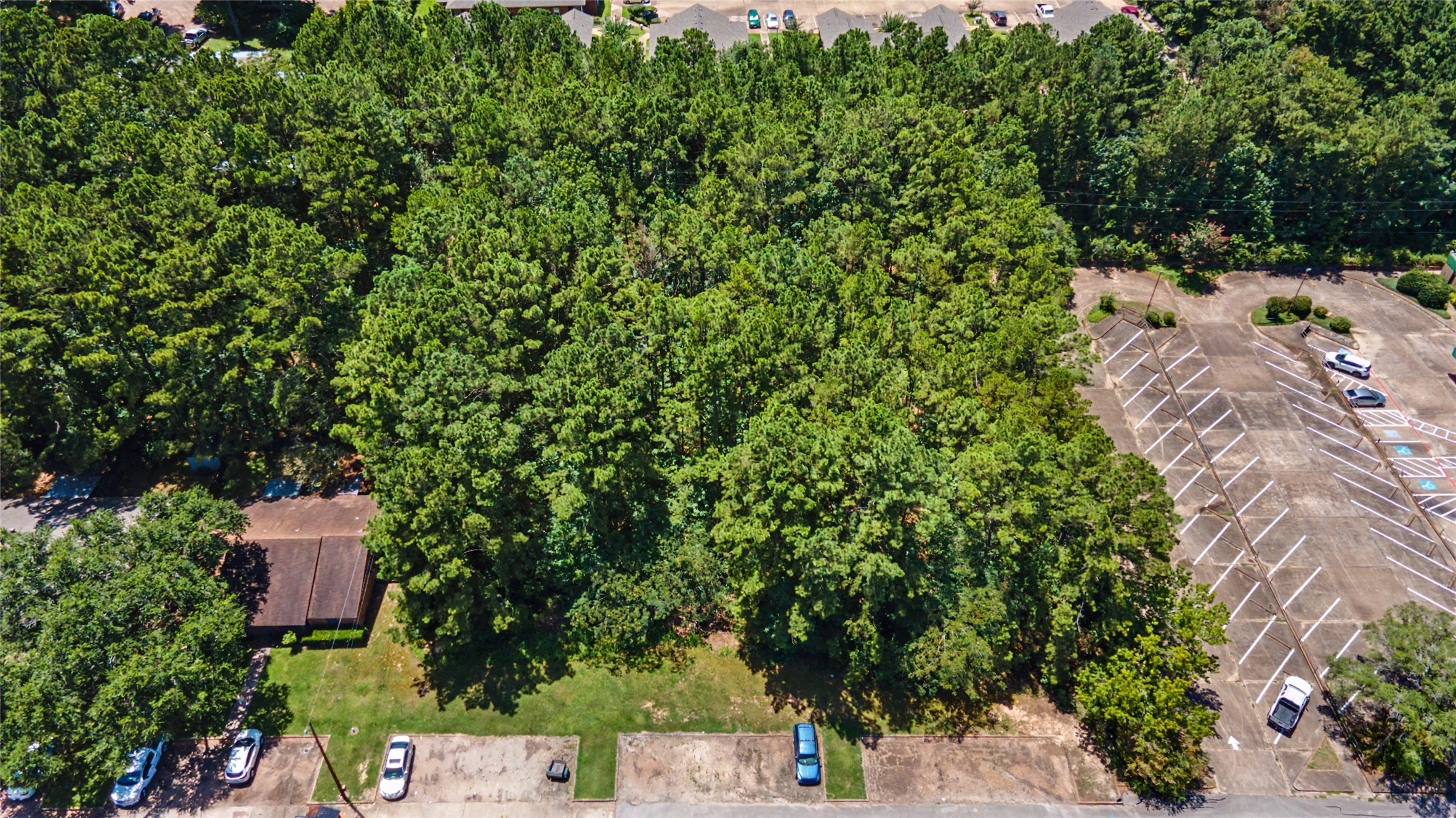 Tbd Lake Road Property Photo 4