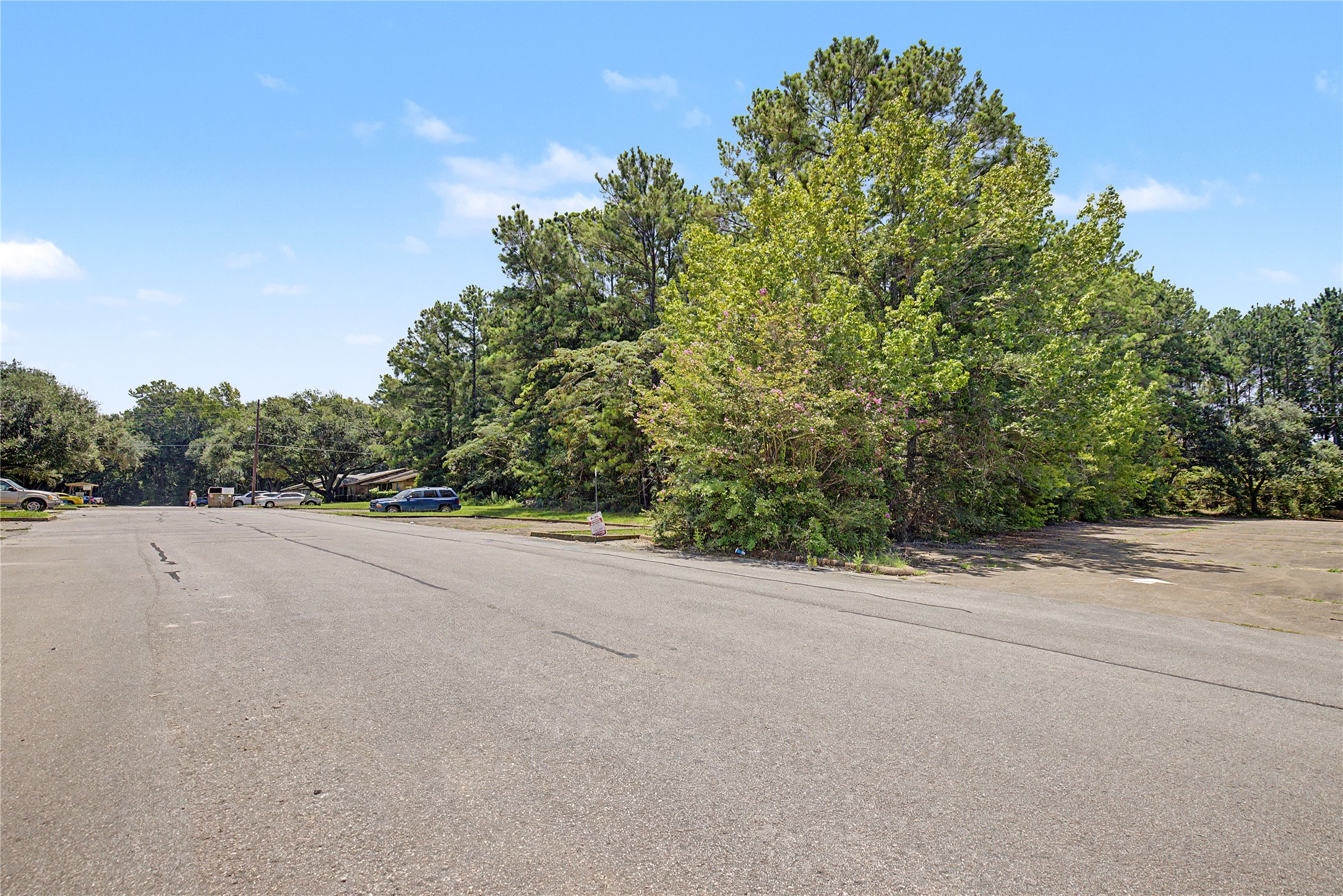 Tbd Lake Road Property Photo 8