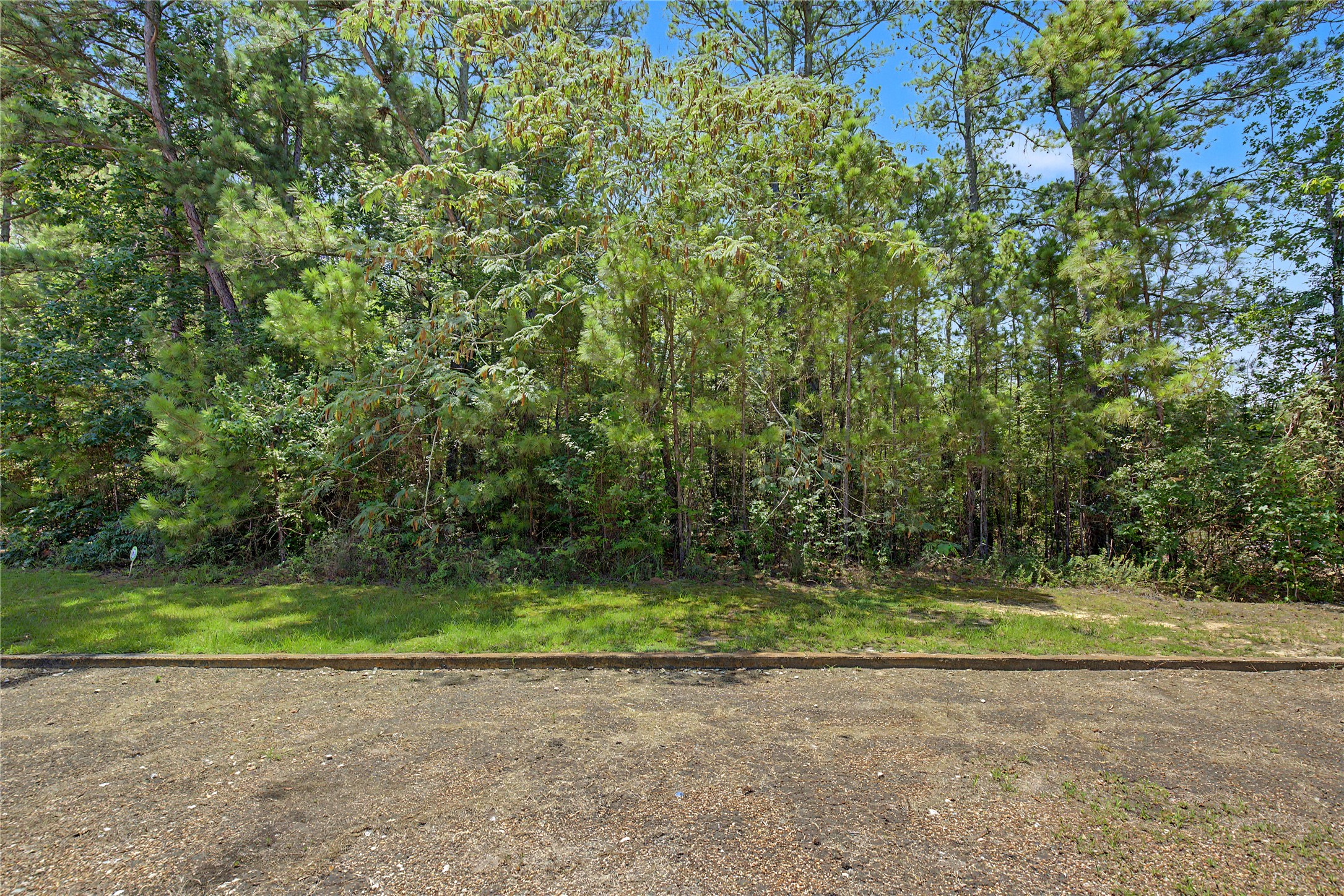 Tbd Lake Road Property Photo 9
