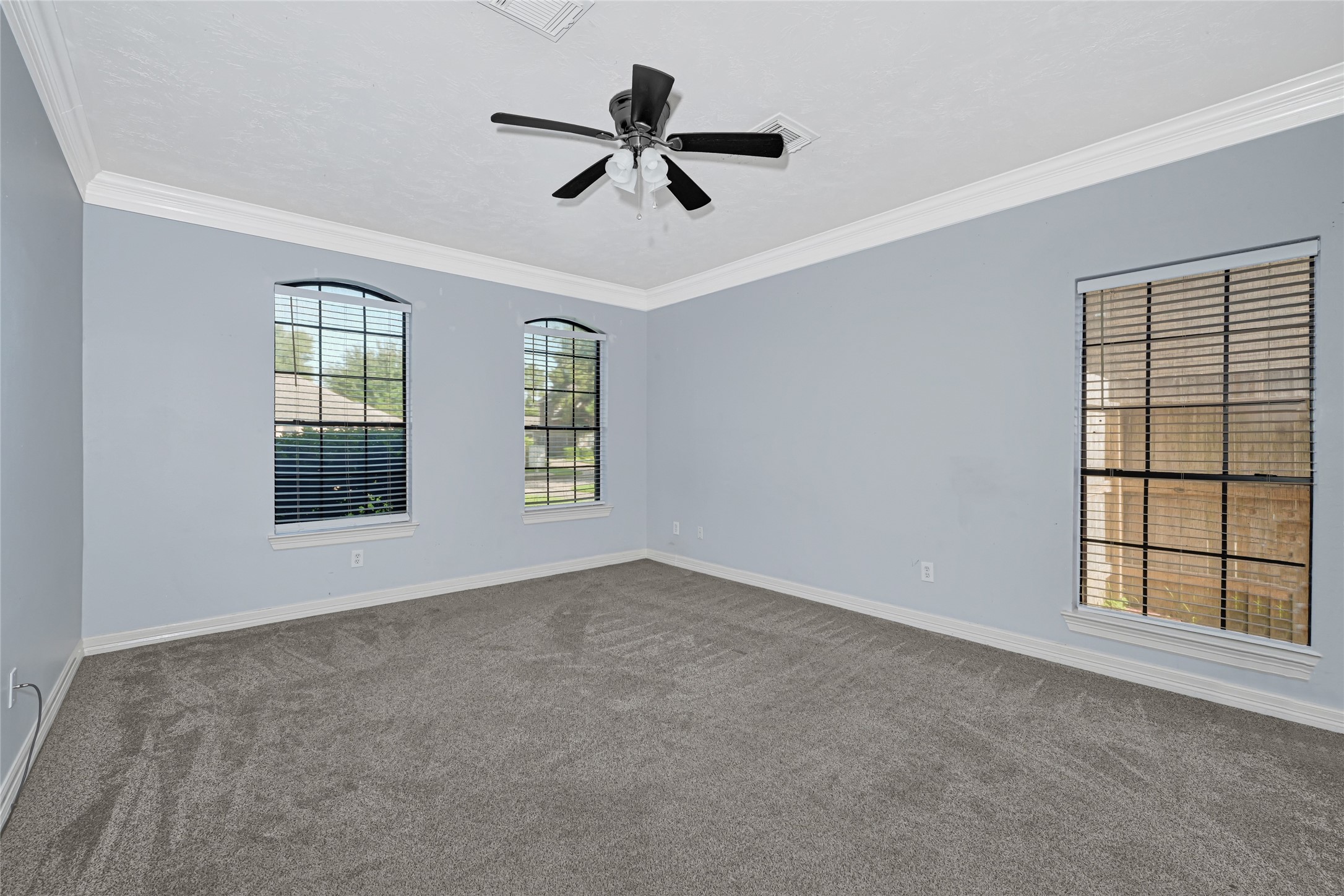 202 Cascade Pines Drive Property Photo 17
