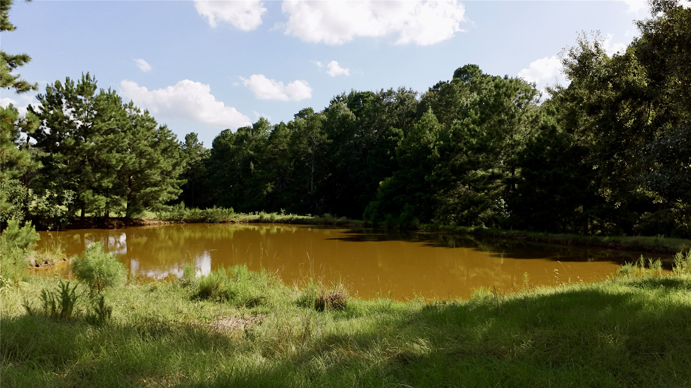 Tbd England Ln Property Photo 26