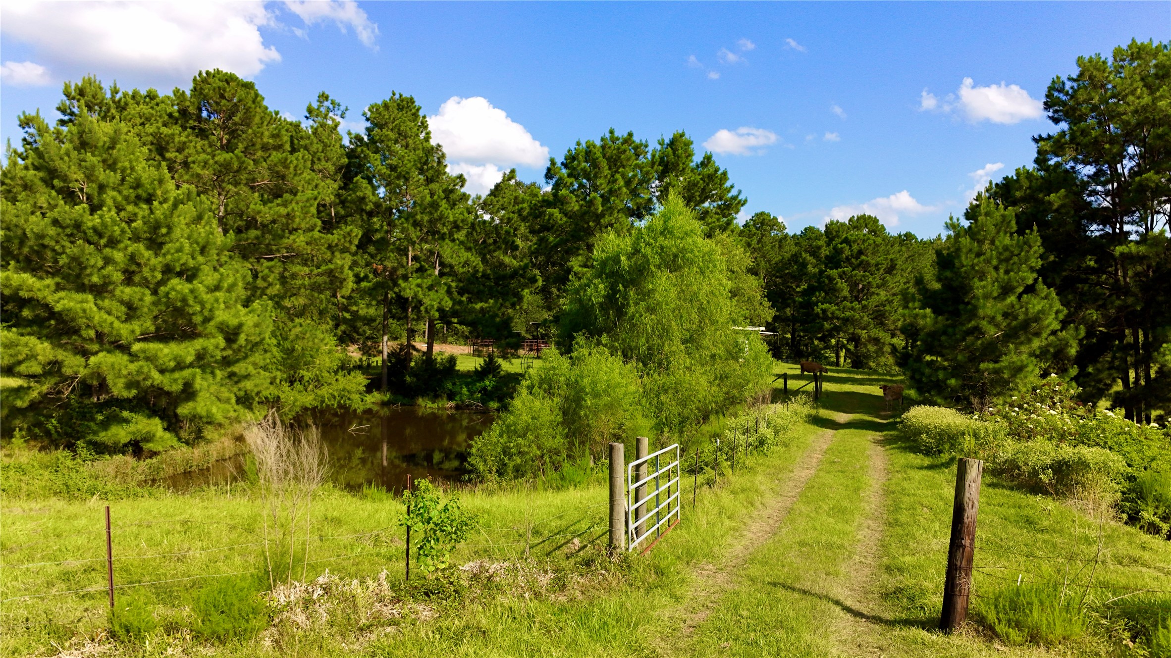 Tbd England Ln Property Photo 28
