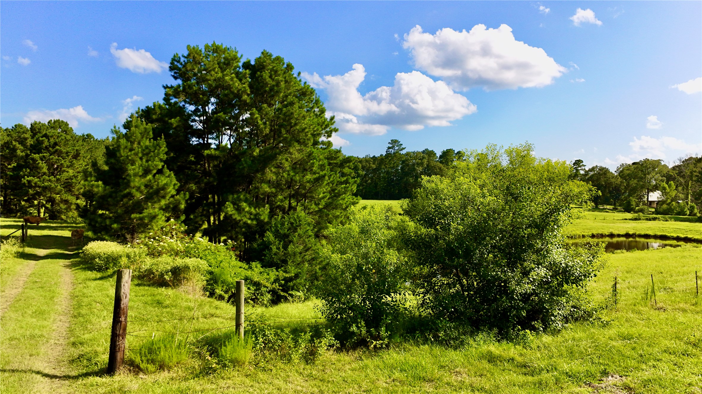 Tbd England Ln Property Photo 29