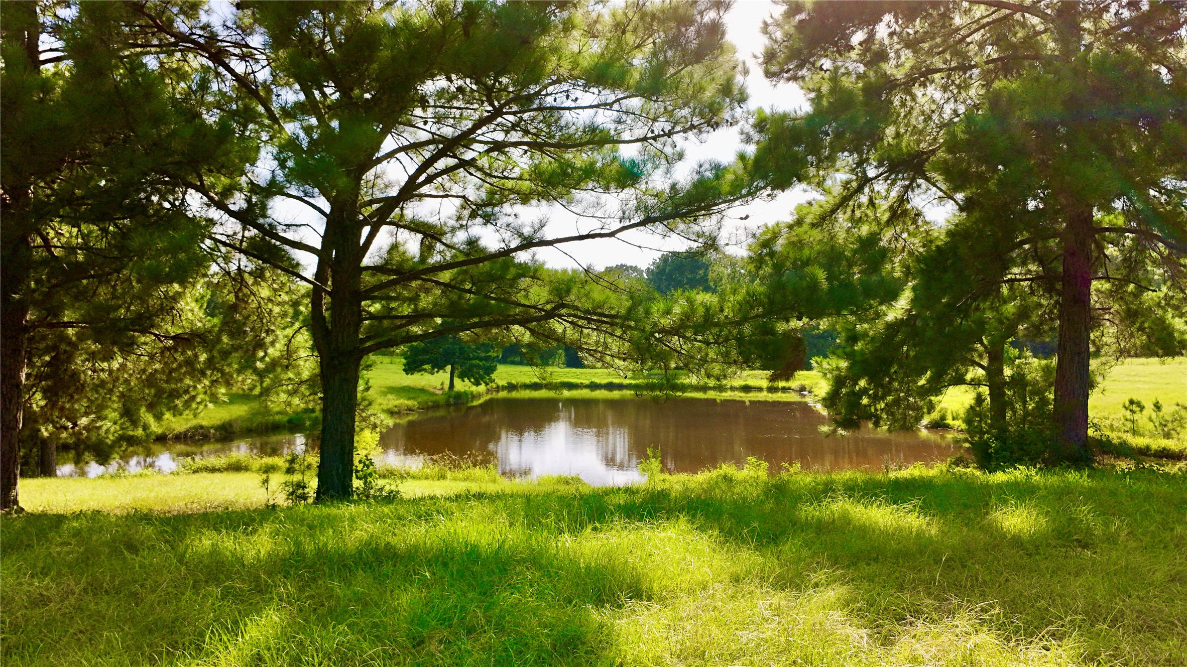 Tbd England Ln Property Photo 37