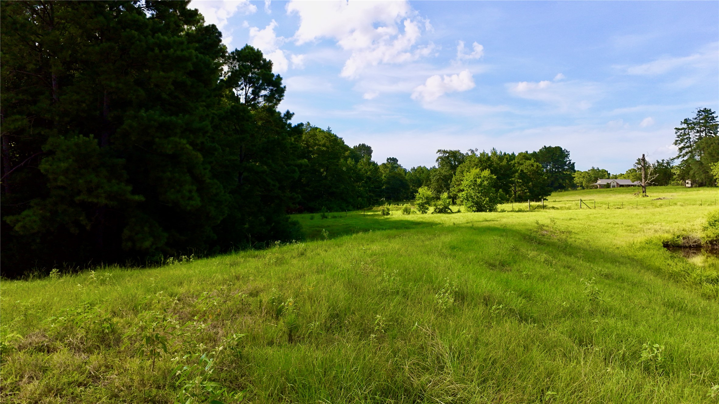 Tbd England Ln Property Photo 39