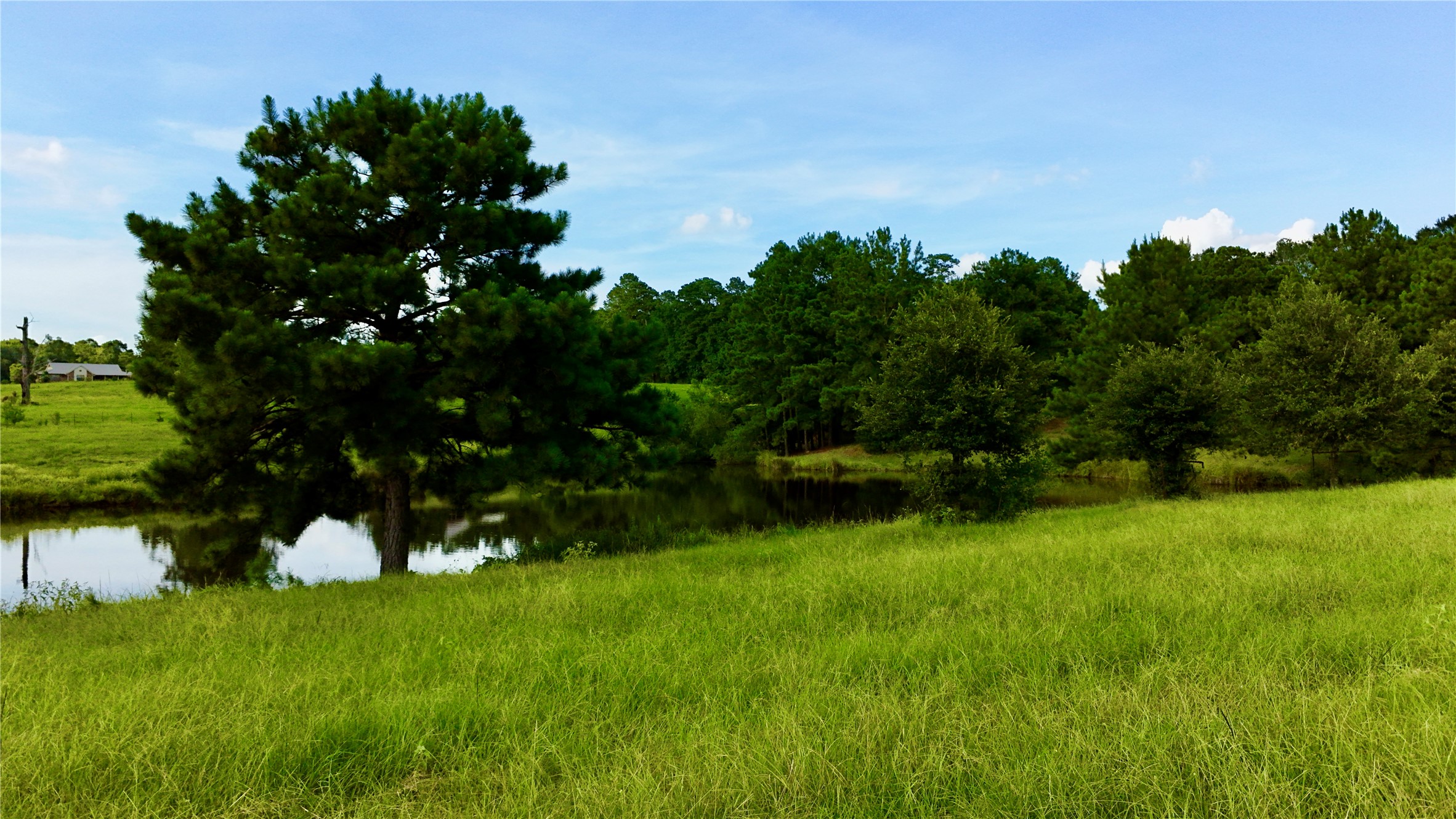 Tbd England Ln Property Photo 43