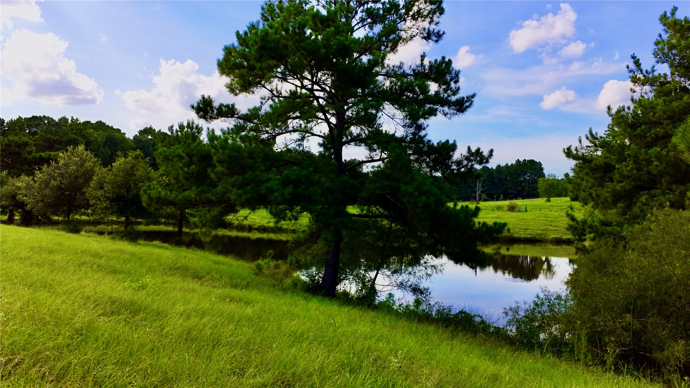Tbd England Ln Property Photo 44