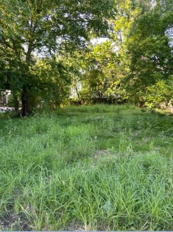 422 E 32nd Street Property Photo 3