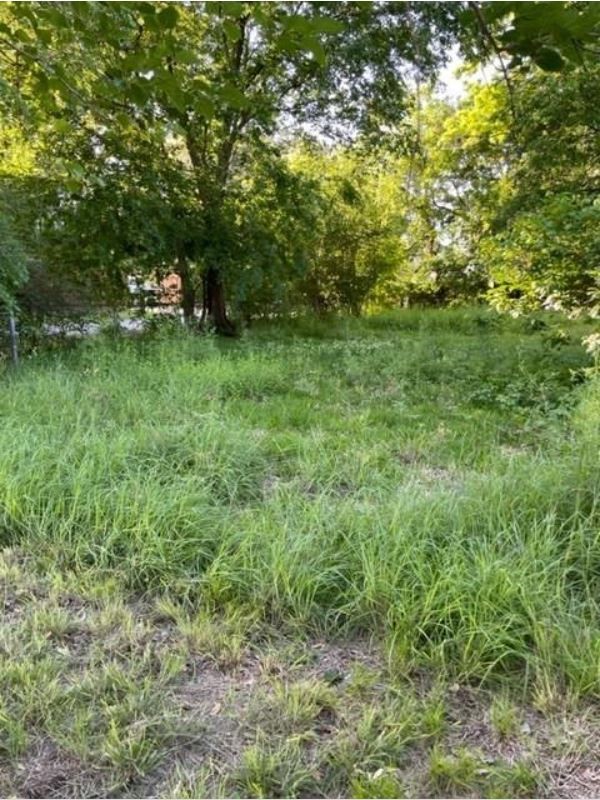 422 E 32nd Street Property Photo 4