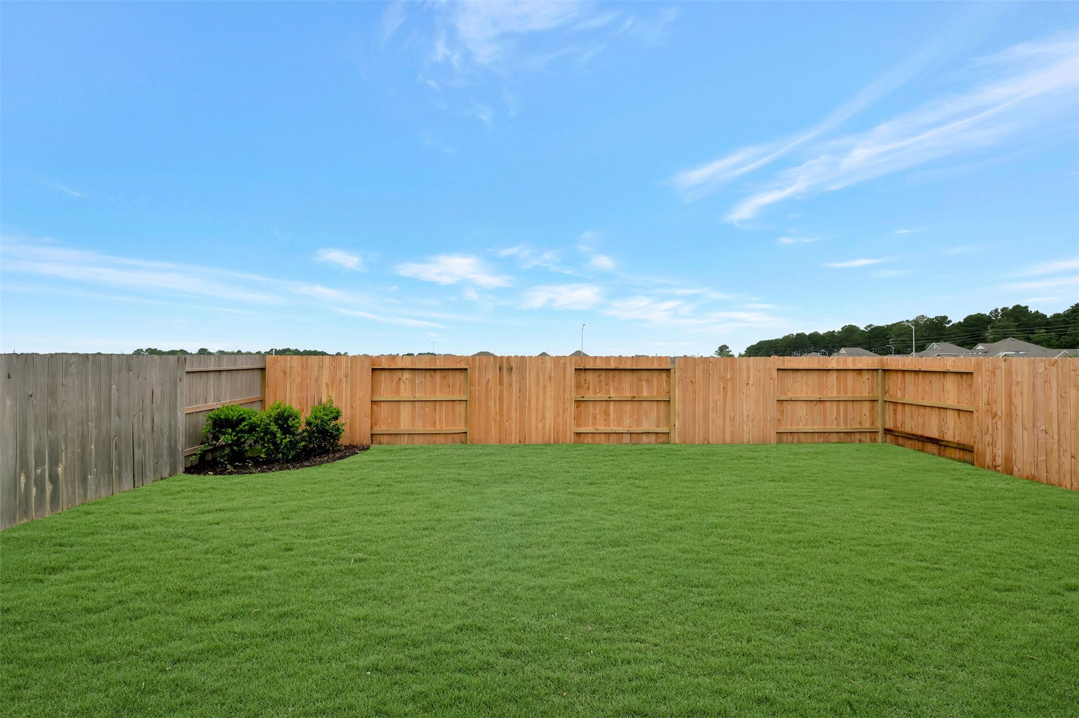 21443 Jacaranda Blossom Way Property Photo 15