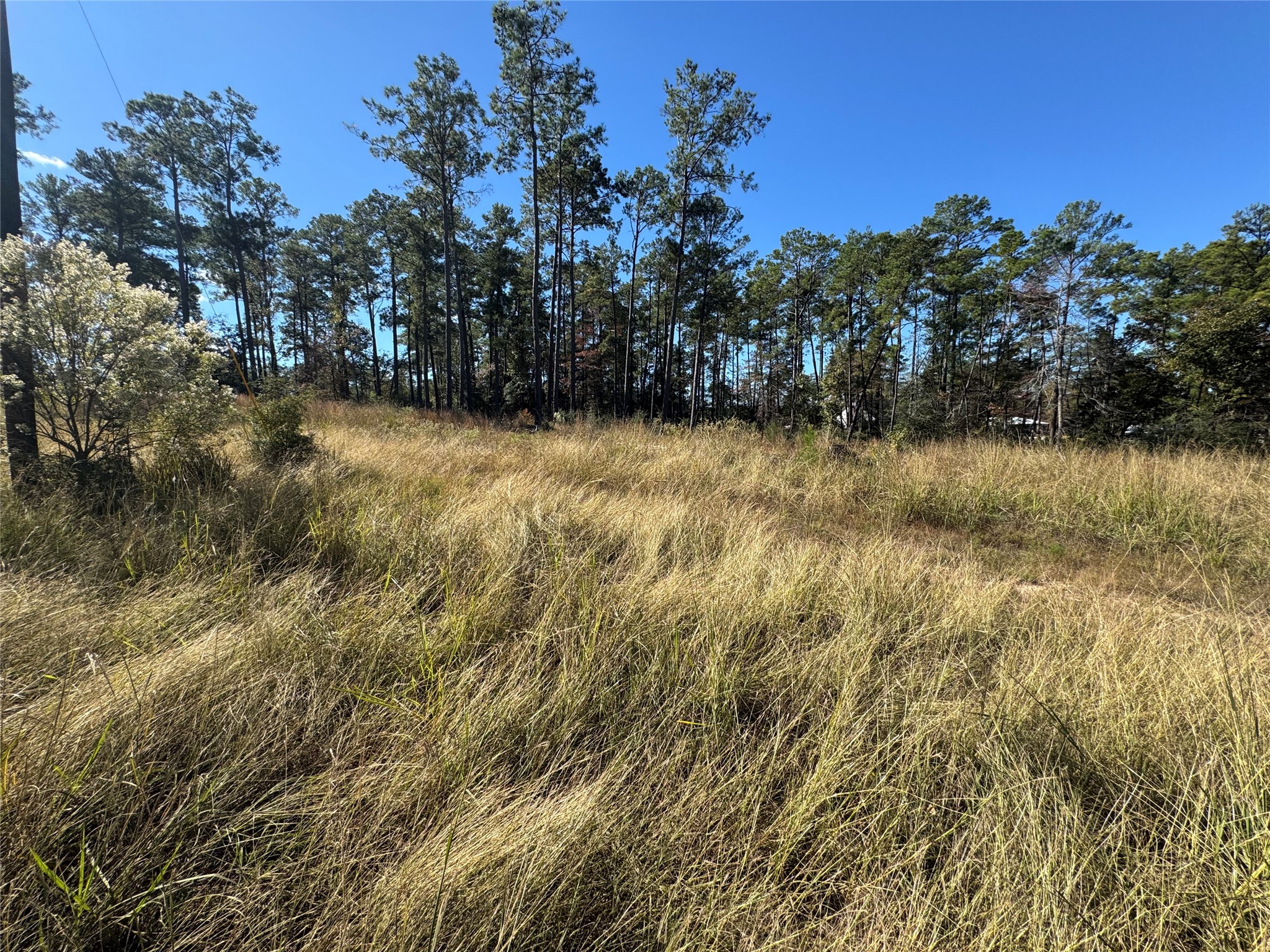 064 Private Road 6026 Tract 1-64 Property Photo 1