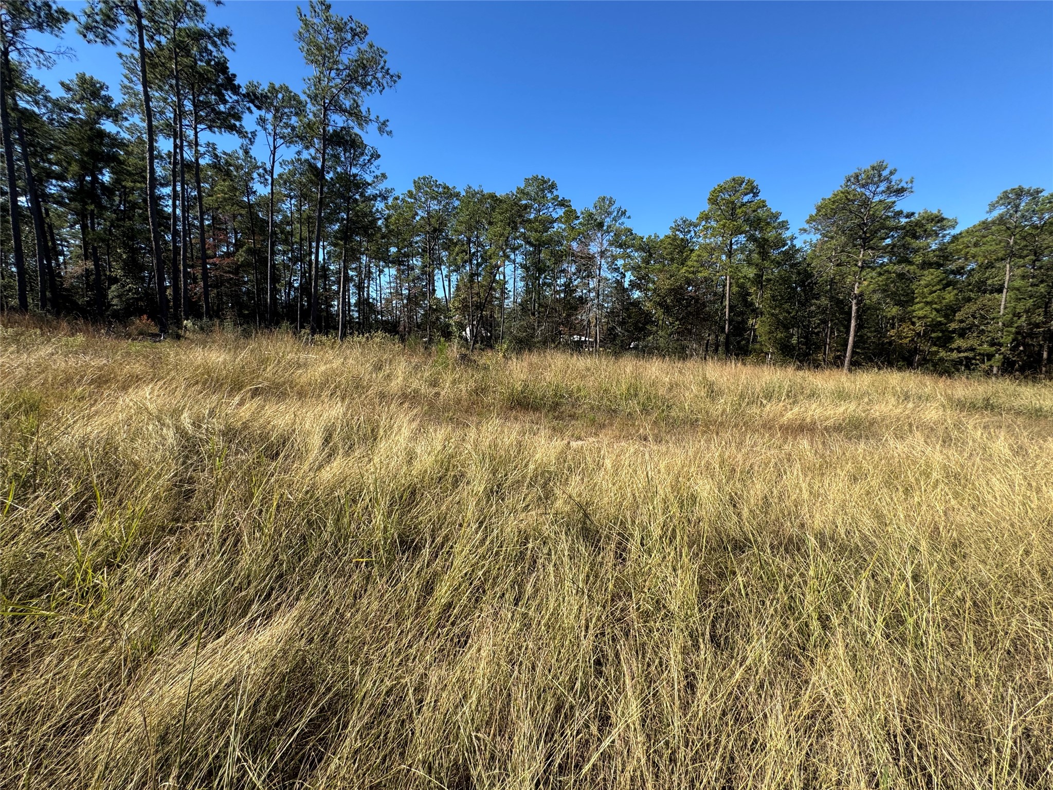 064 Private Road 6026 Tract 1-64 Property Photo 3
