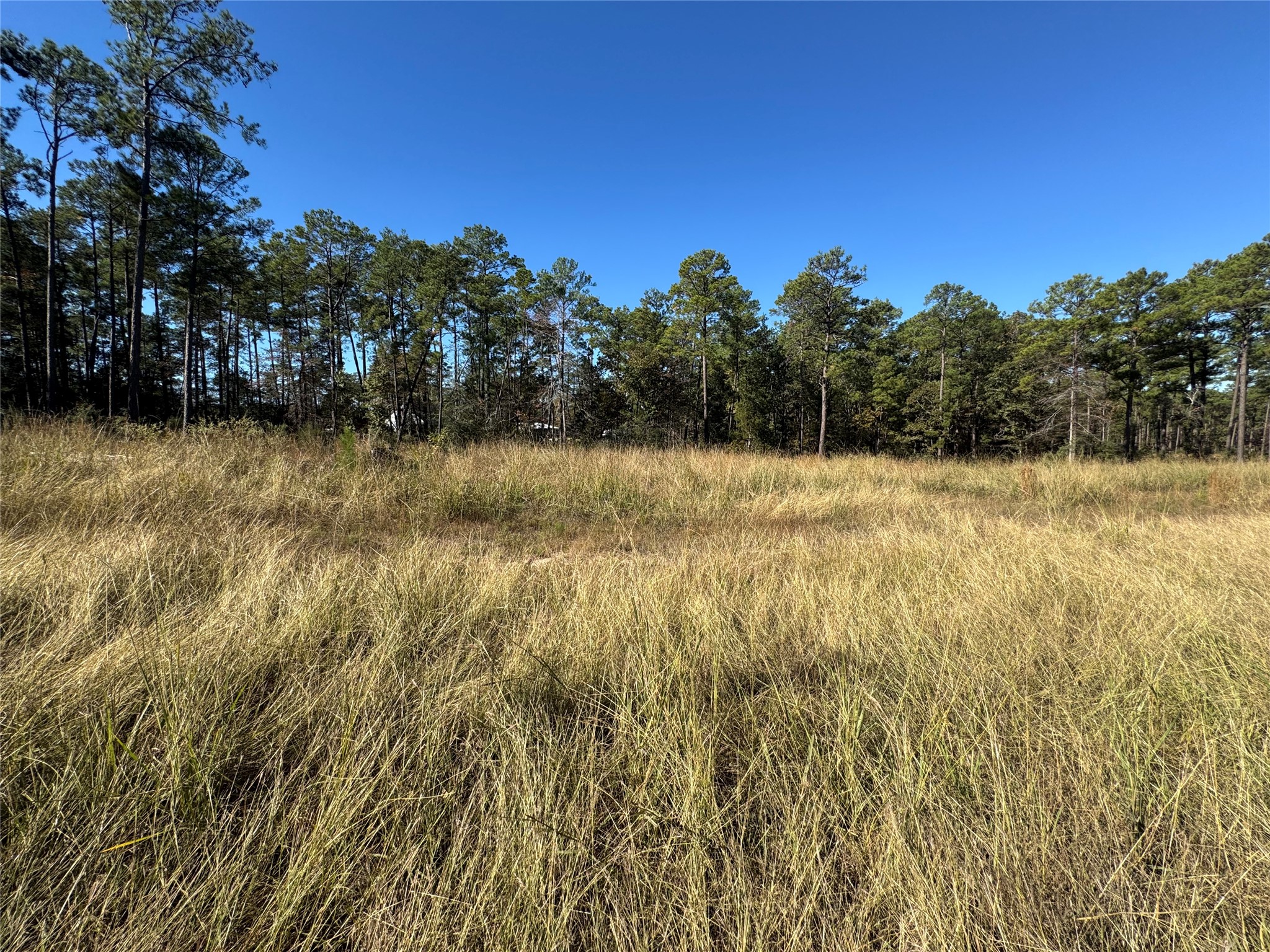 064 Private Road 6026 Tract 1-64 Property Photo 5