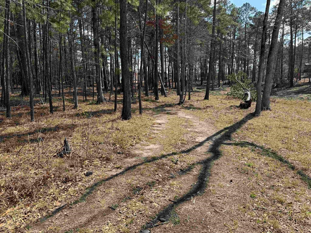 064 Private Road 6026 Tract 1-64 Property Photo 8
