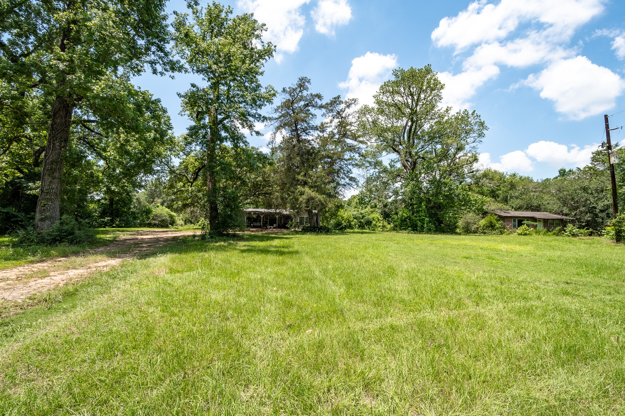 16100 Fm 1485 Road Property Photo 5