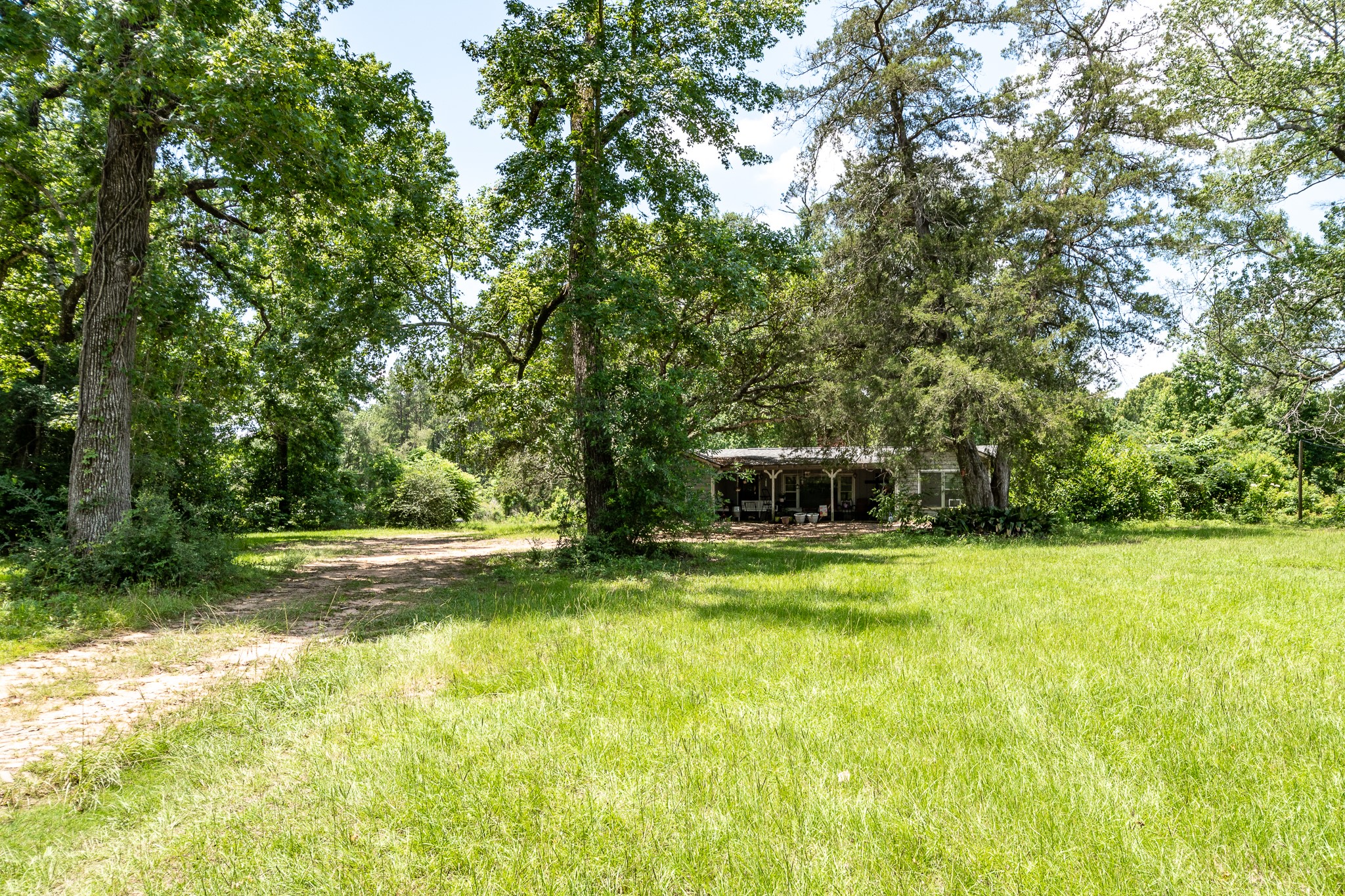 16100 Fm 1485 Road Property Photo 6