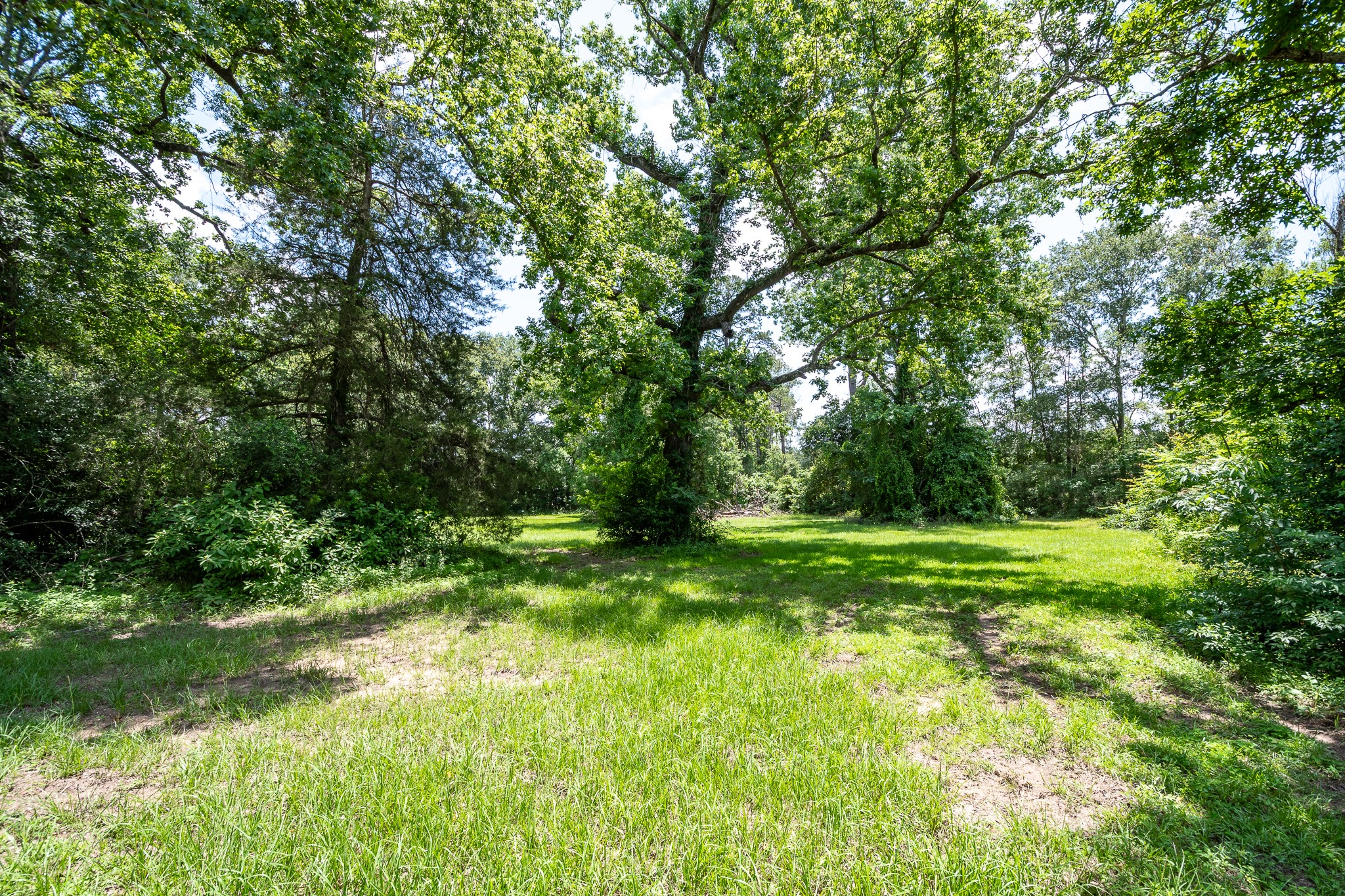 16100 Fm 1485 Road Property Photo 13